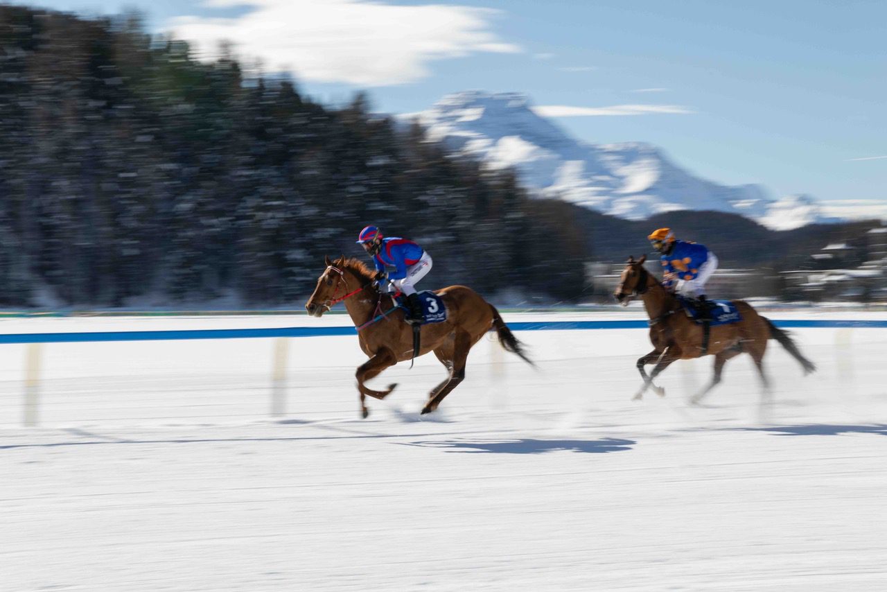 White Turf St.Moritz