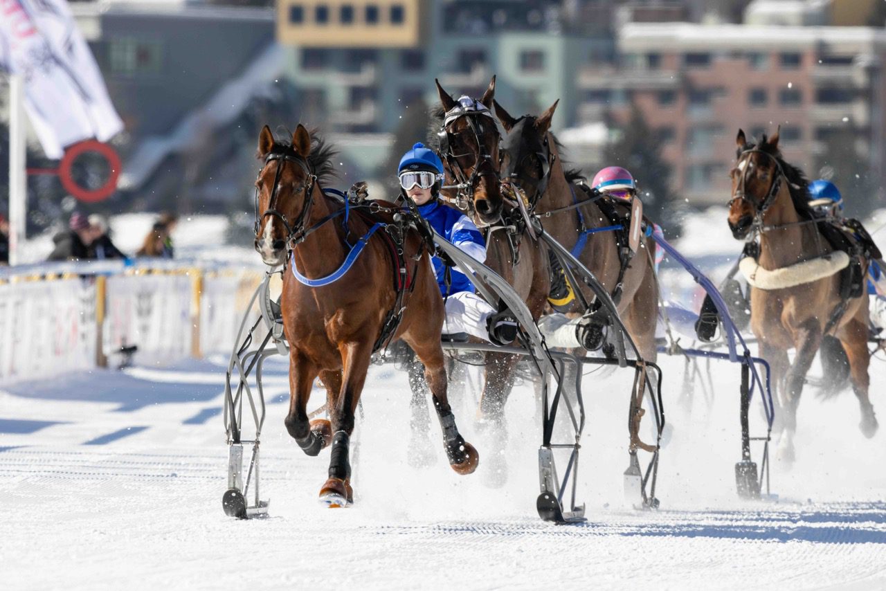 White Turf St.Moritz