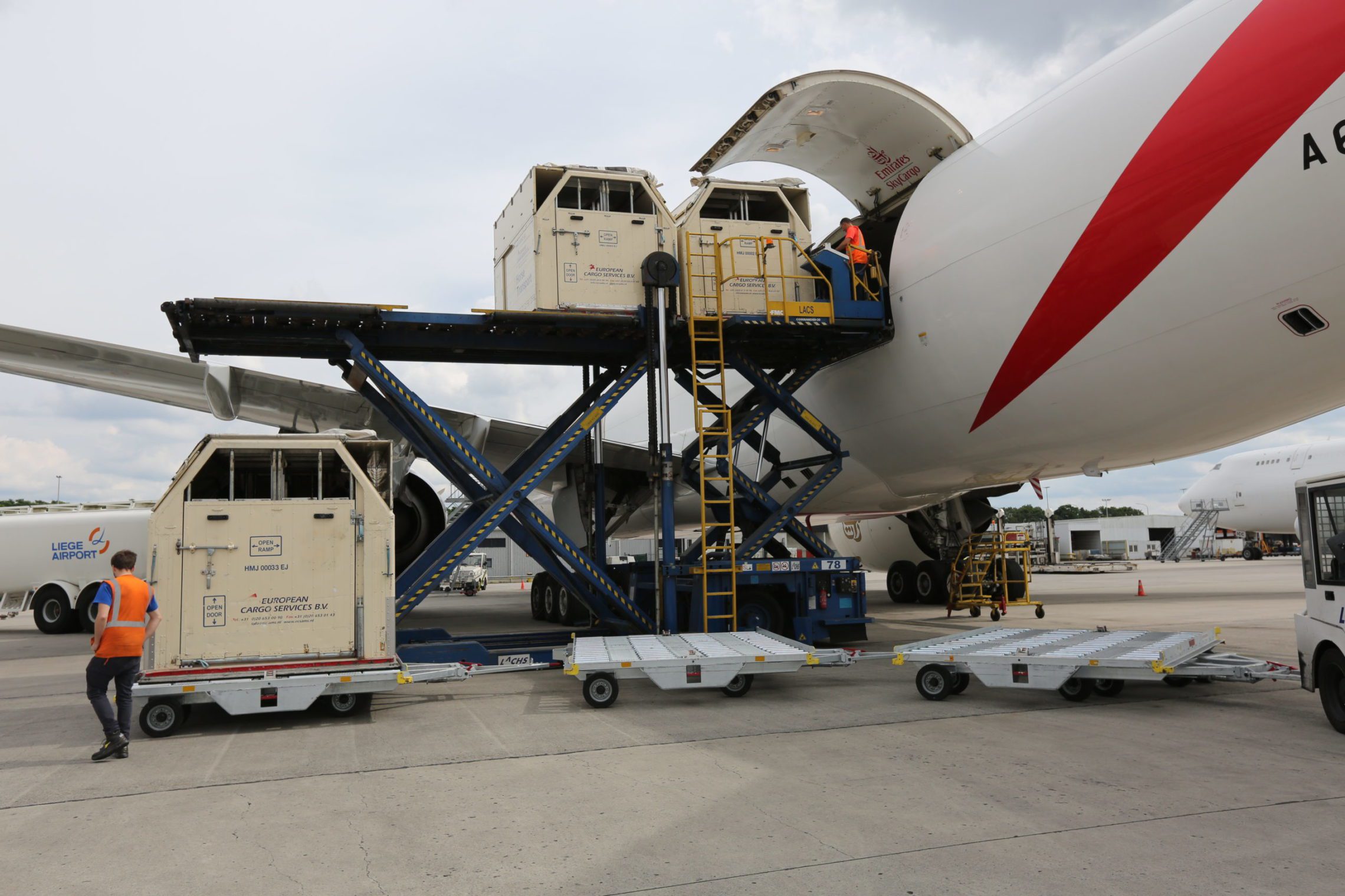 Transport chevaux EHS