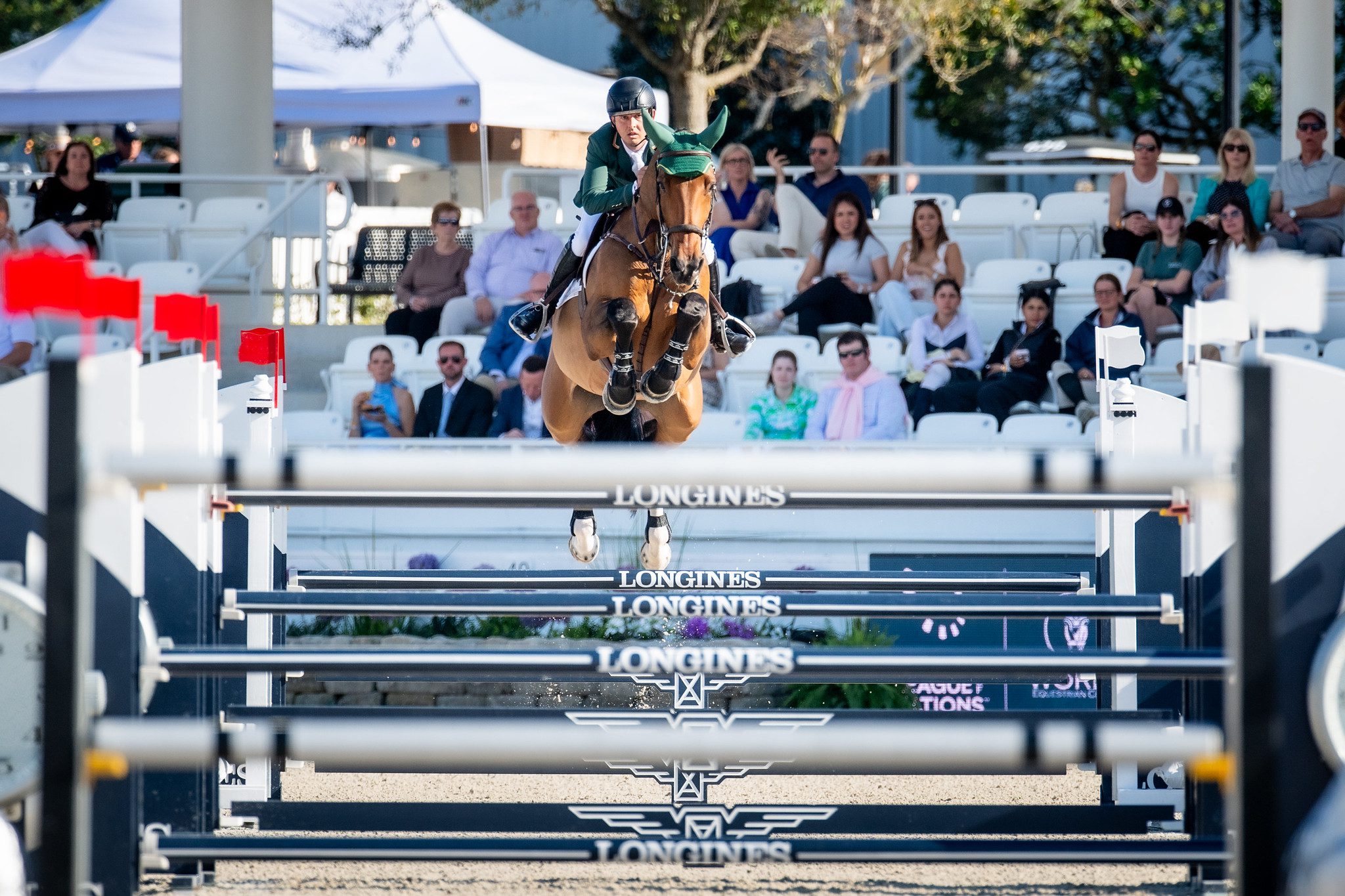 Bertram Allen Qonquest de Rigo