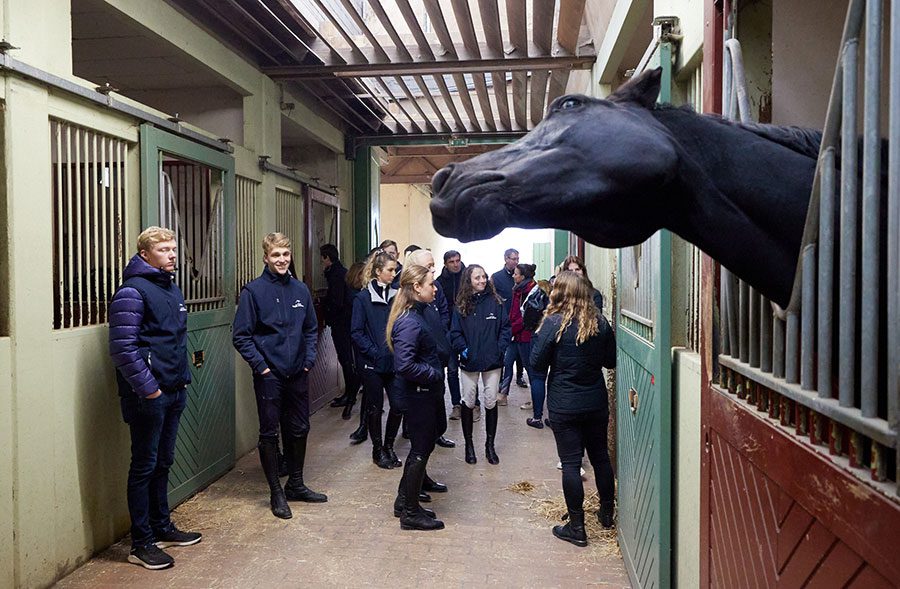 A Young Riders Academy