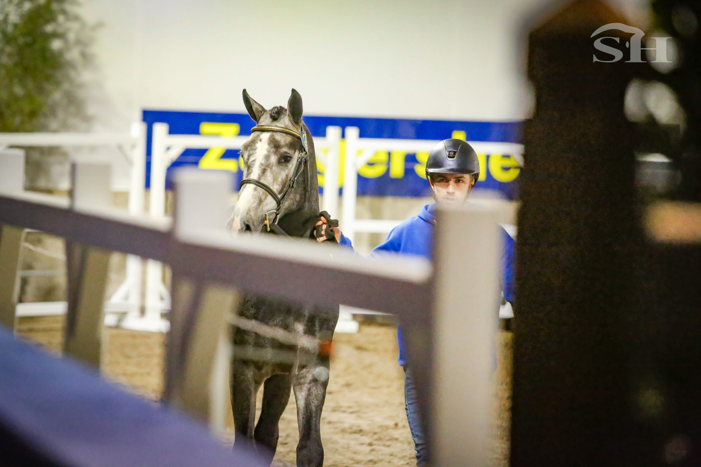 Approbation Zangersheide