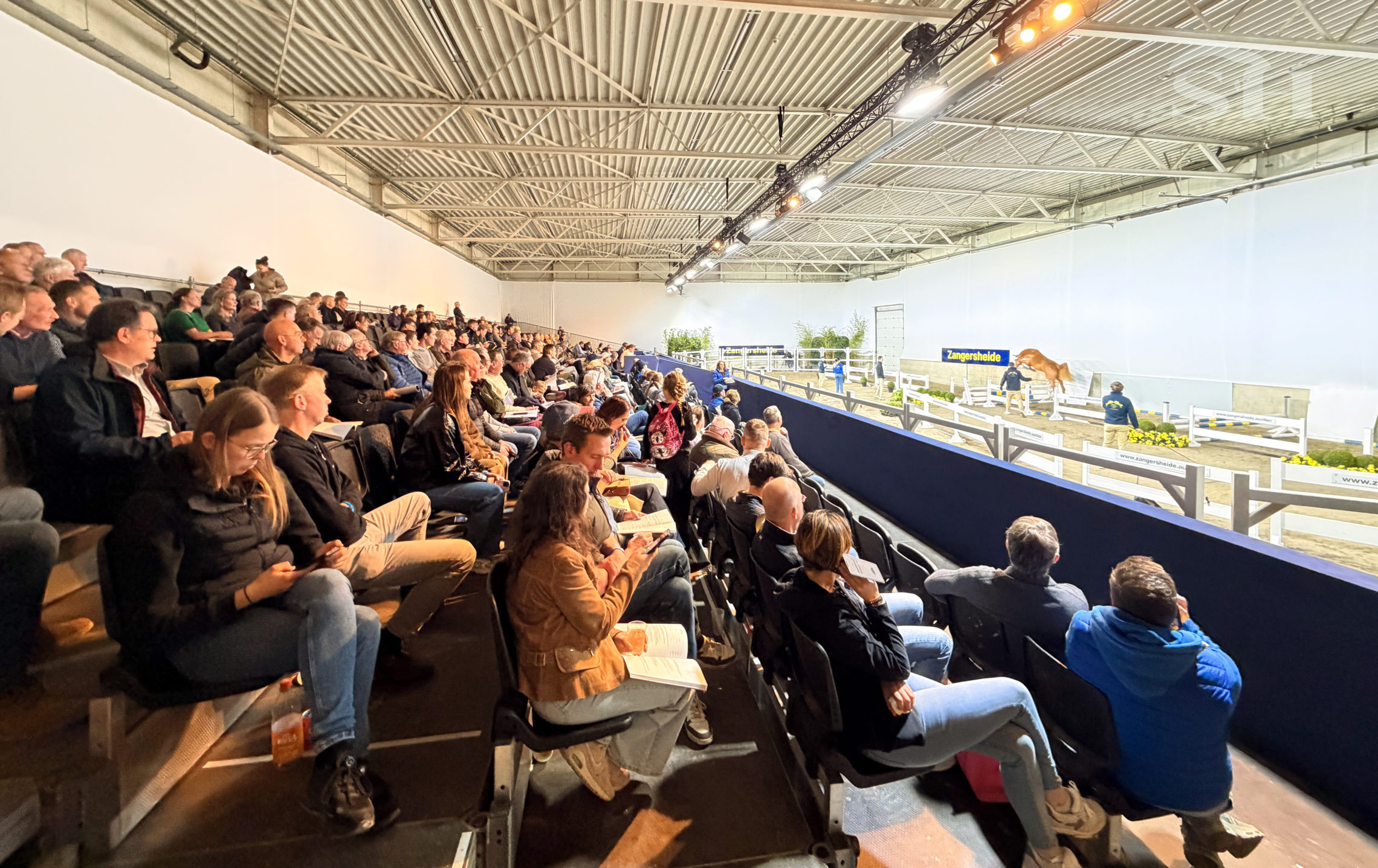 Approbation Zangersheide