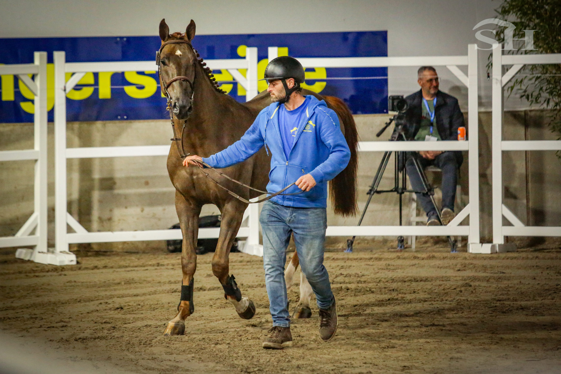 Approbation Zangersheide