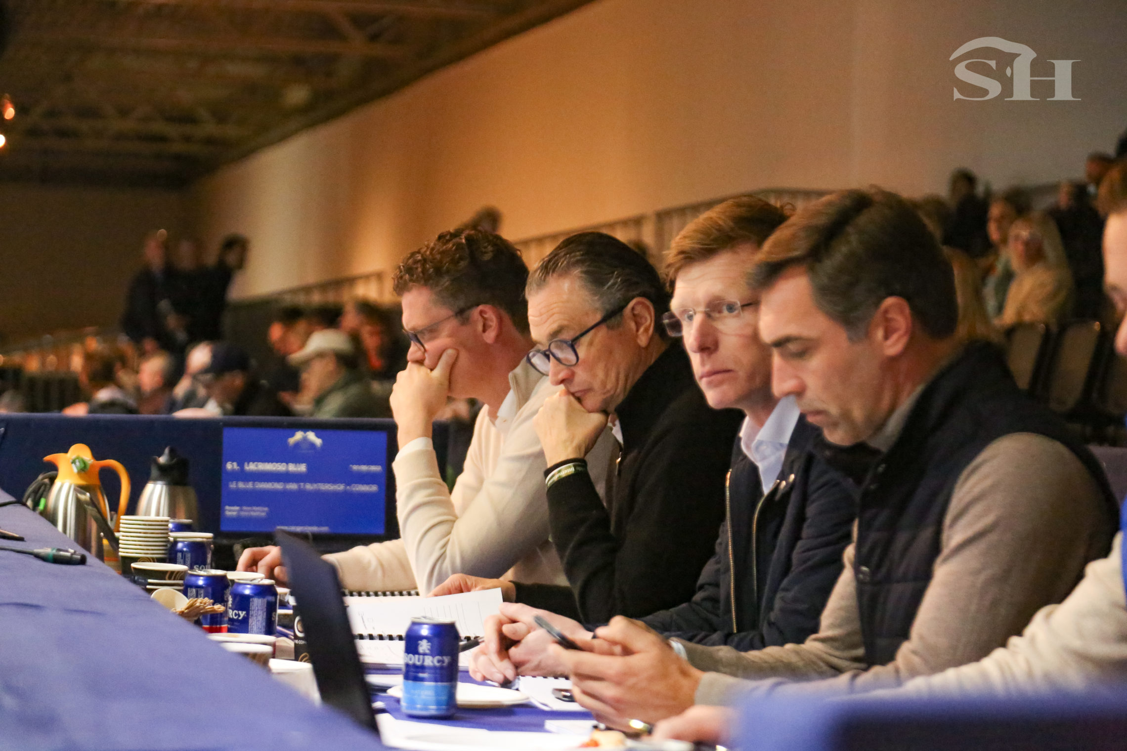 Approbation Zangersheide