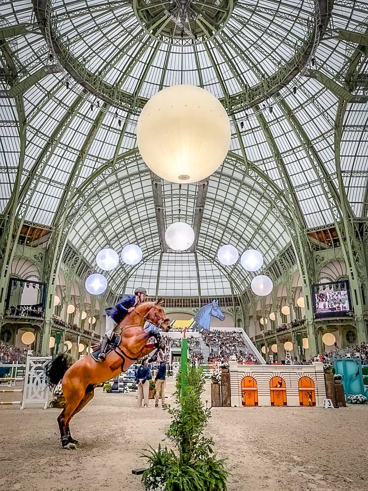 Saut Hermès