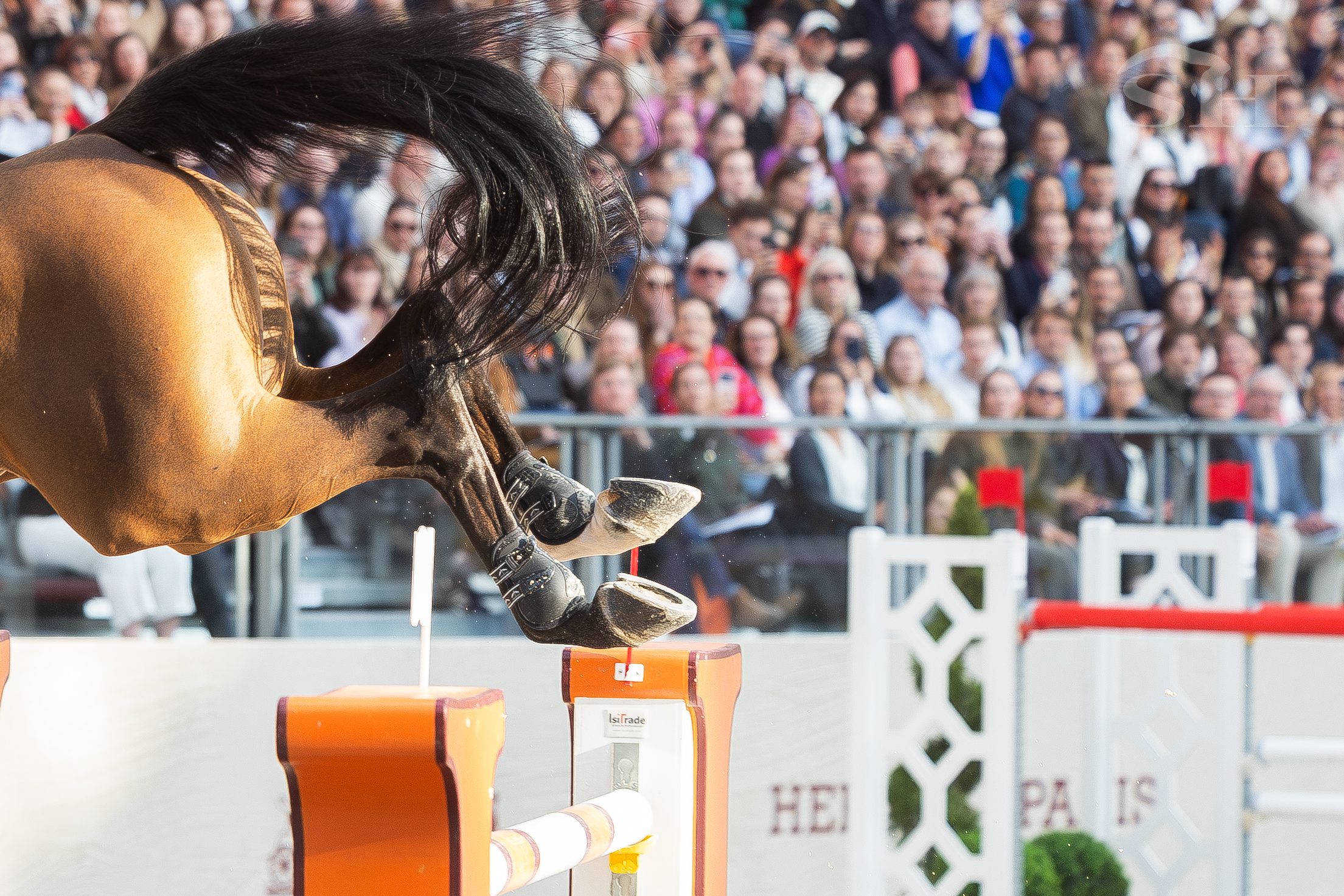 Saut Hermès Grand Palais