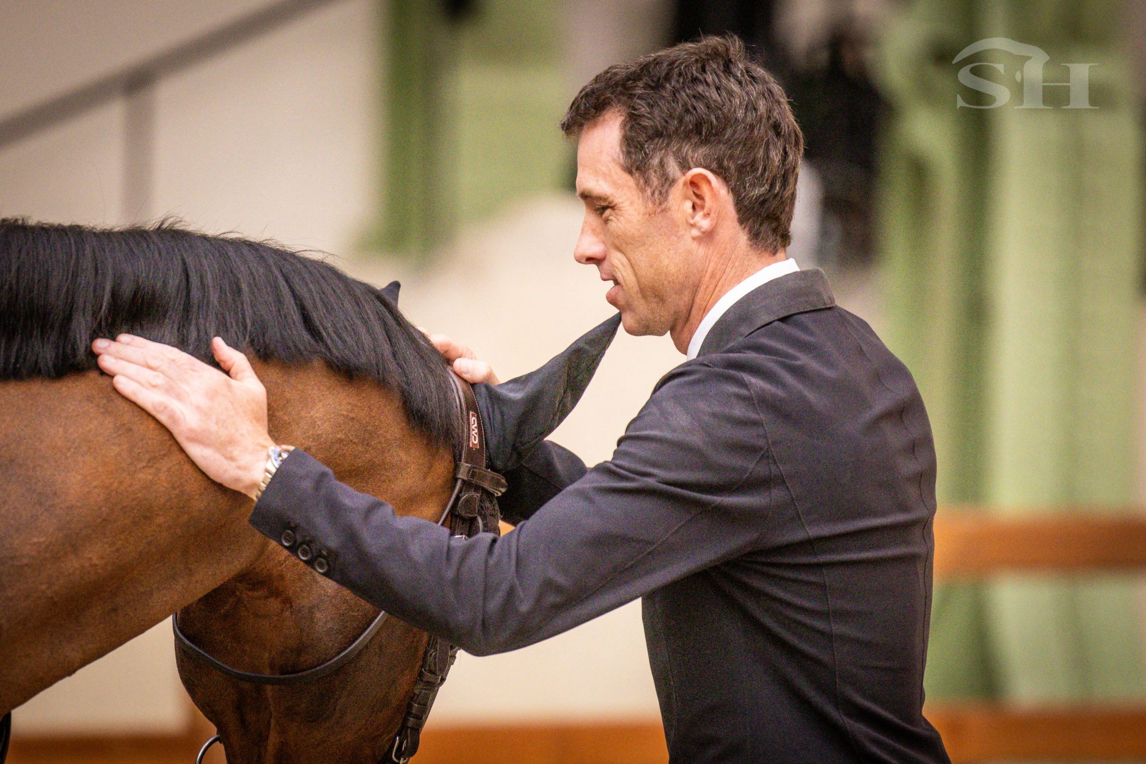 Scott Brash Hello Chadora Lady