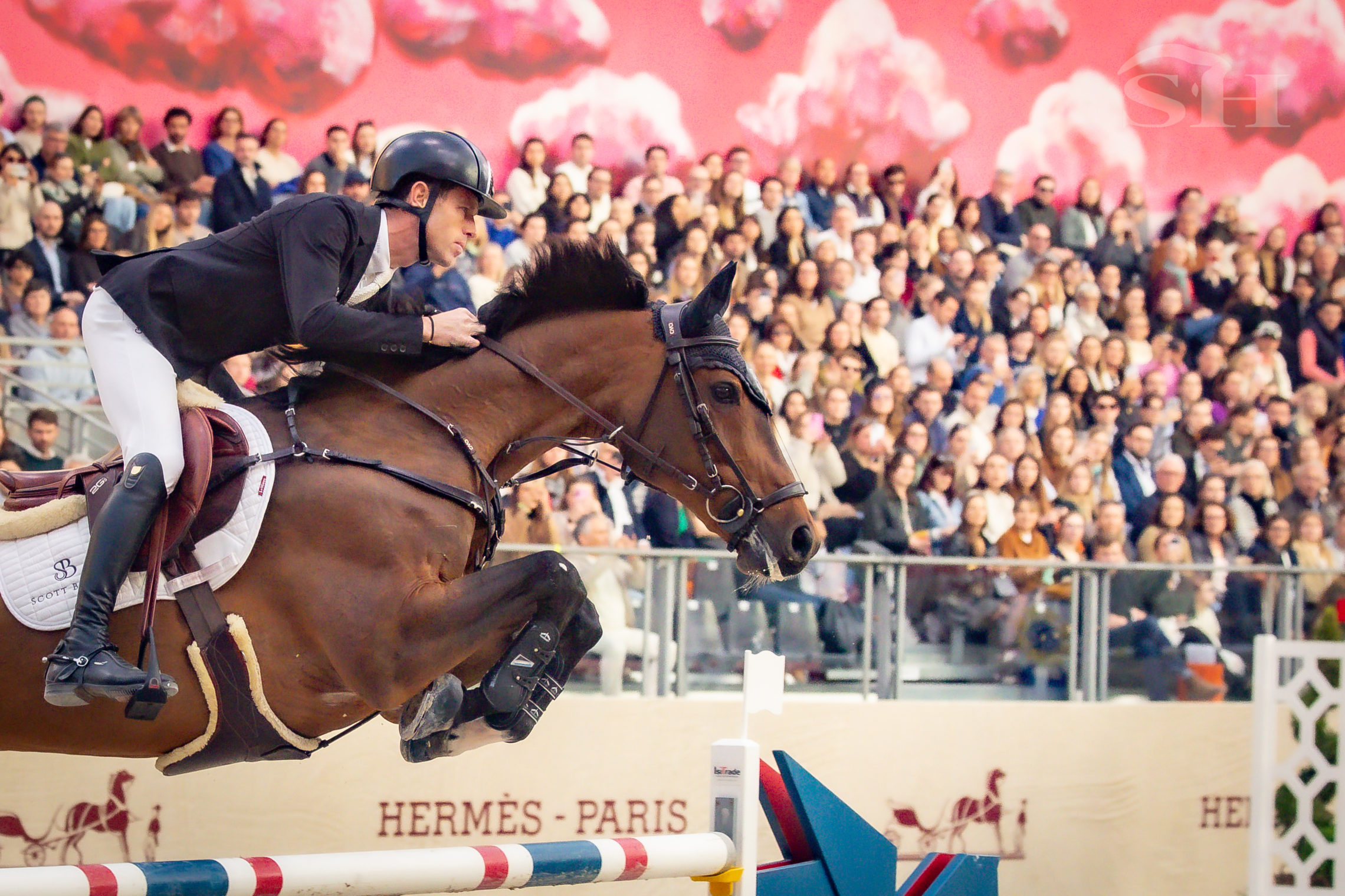 Scott Brash Hello Chadora Lady Grand Palais Saut Hermès
