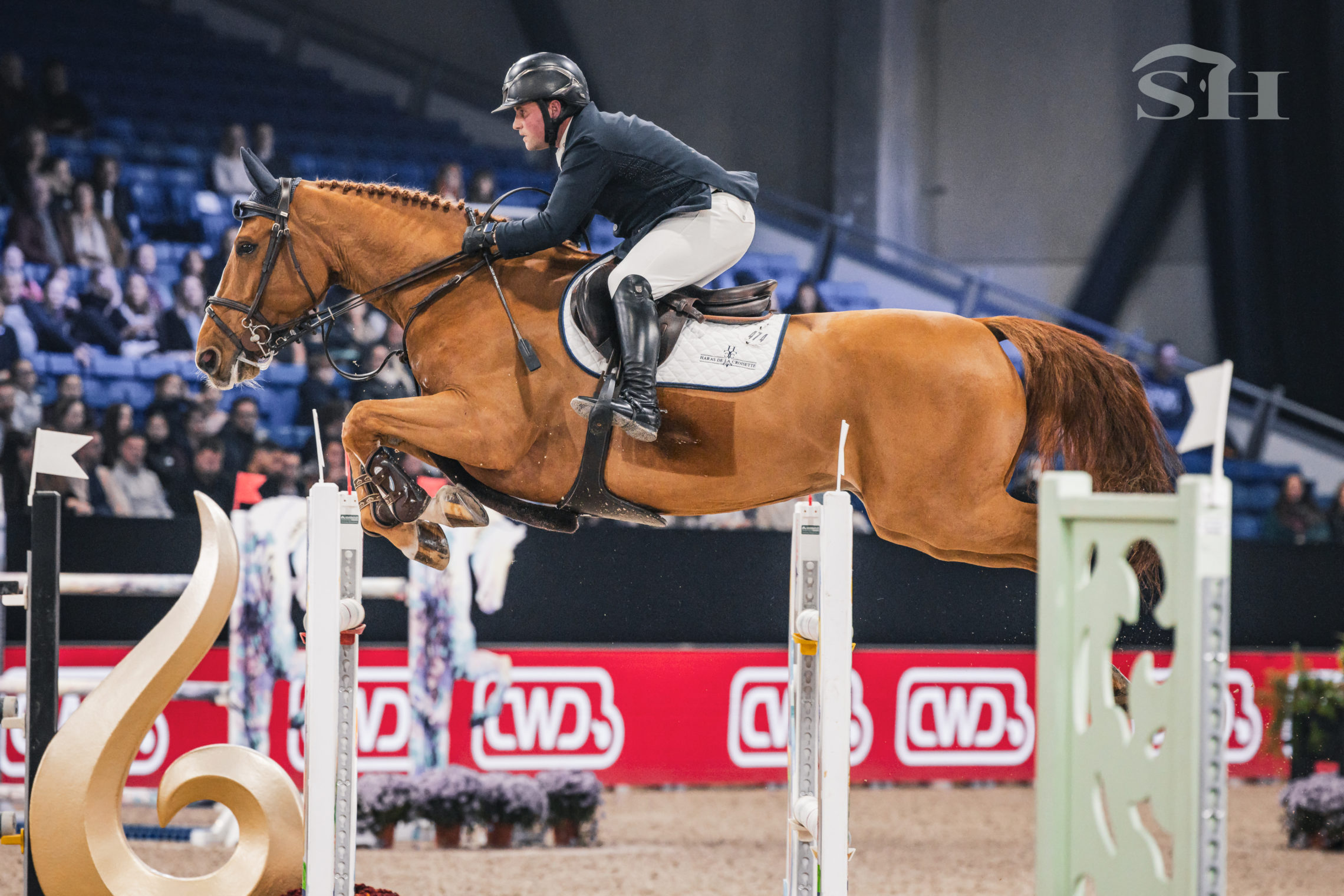 DEVINO VAN'T LANGEVELD Z  - Ugo Berrittella