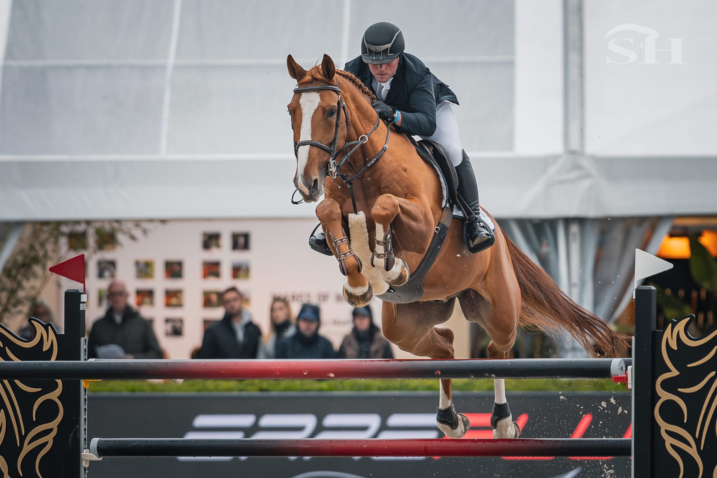 DEVINO VAN'T LANGEVELD Z  - Ugo Berrittella