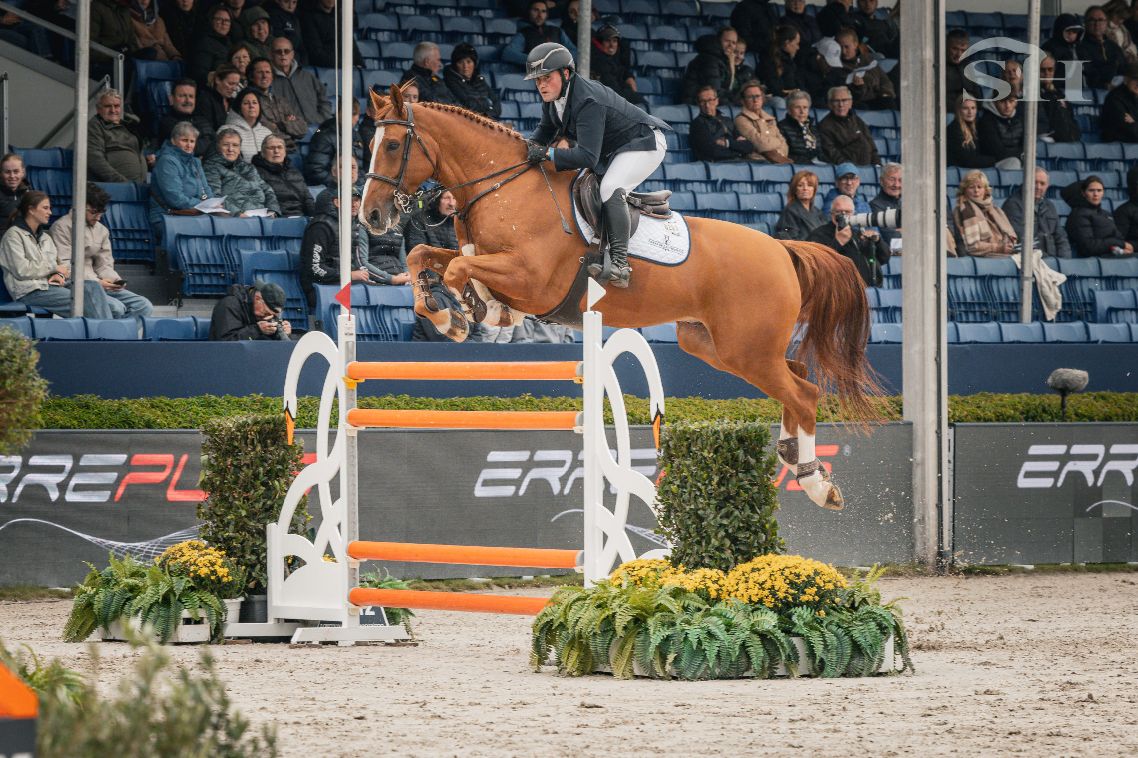 DEVINO VAN'T LANGEVELD Z  - Ugo Berrittella