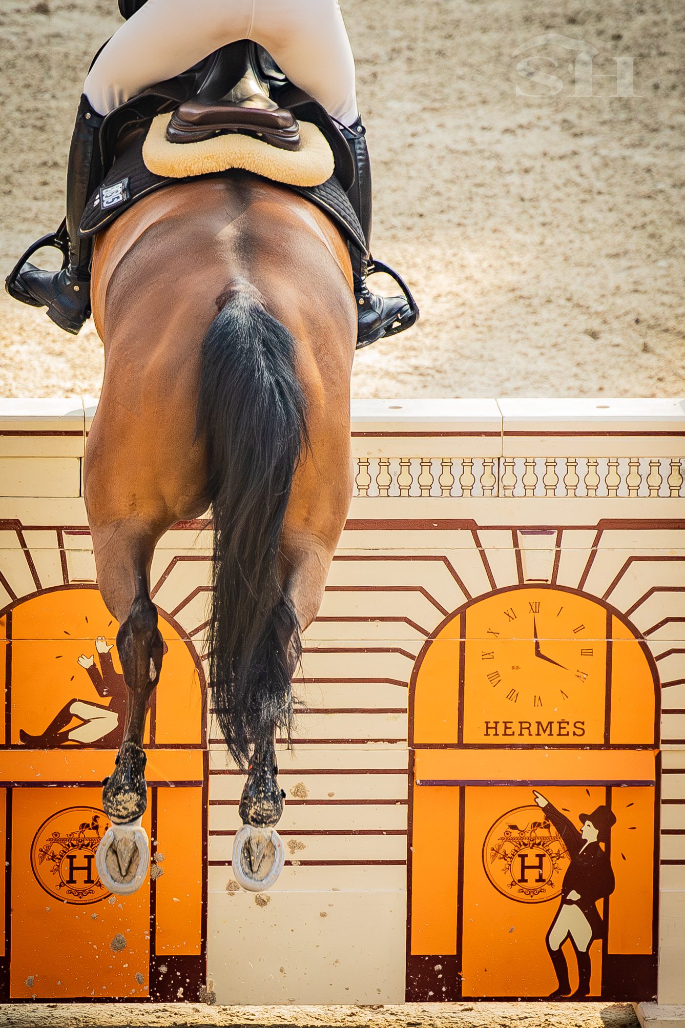 Saut Hermès Grand Palais