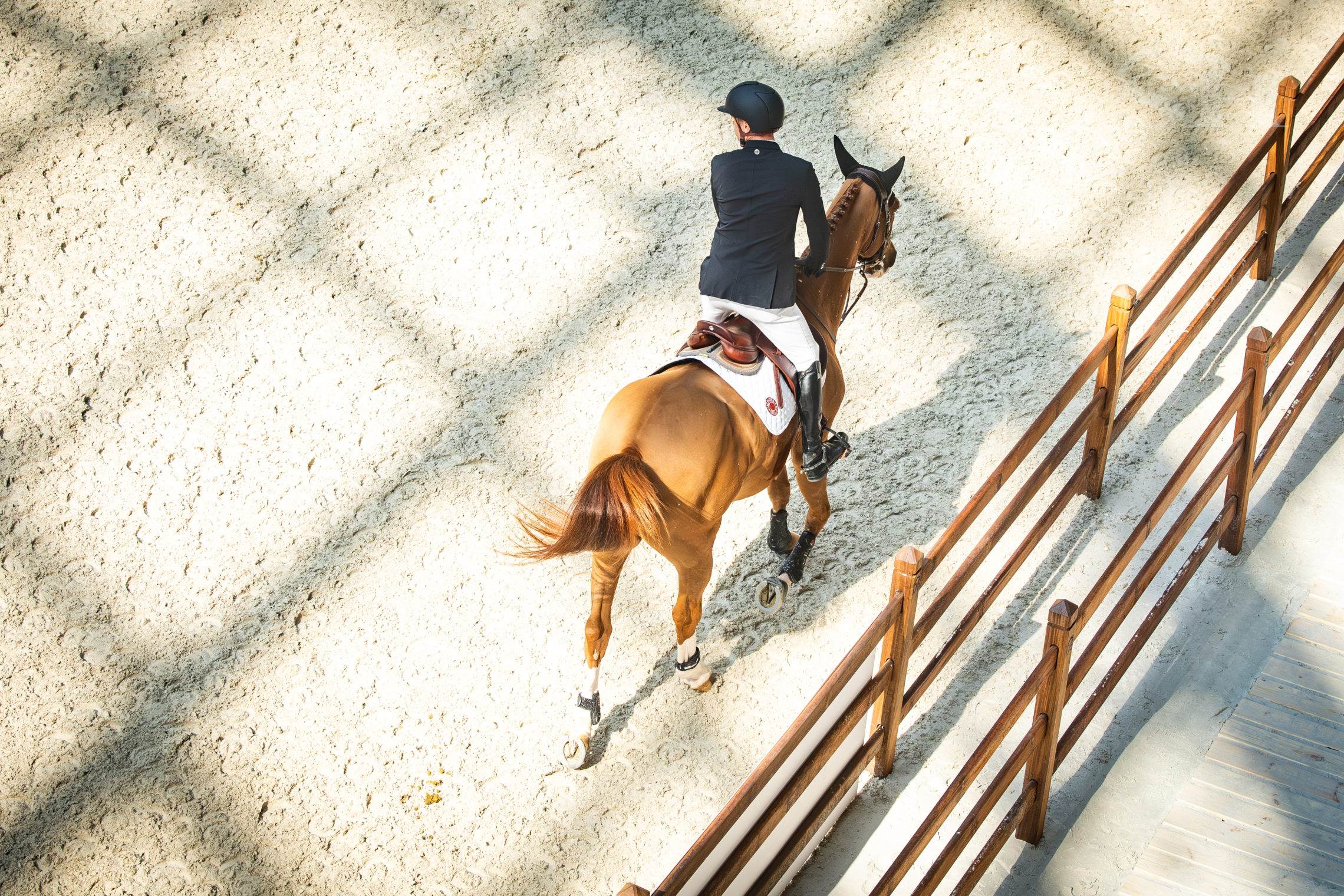 Saut Hermès Grand Palais Jérôme Guéry