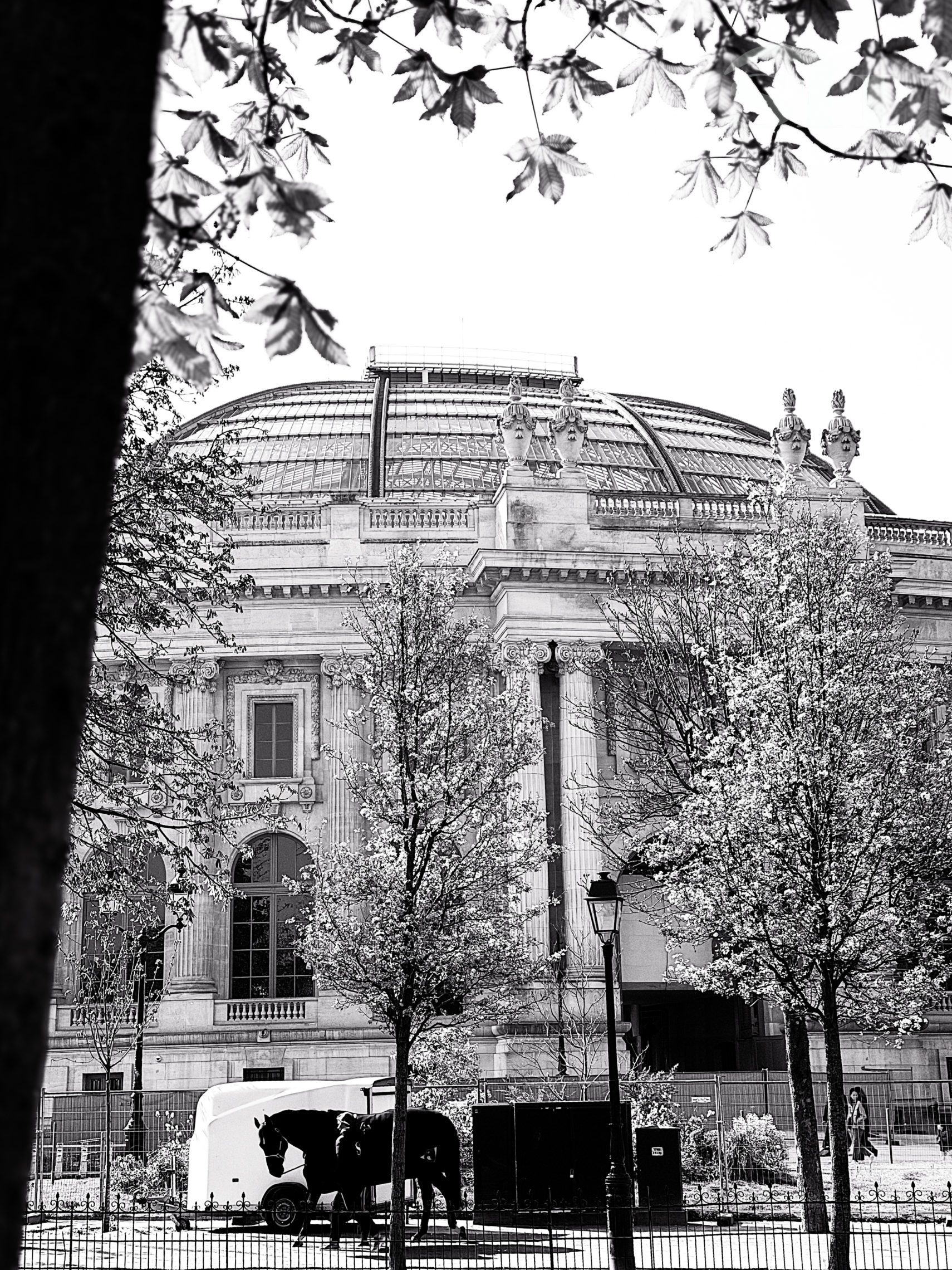 Saut Hermès Grand Palais