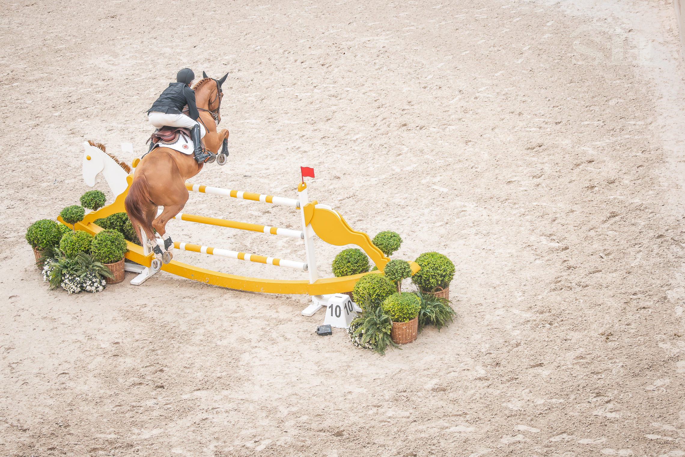Saut Hermès Grand Palais