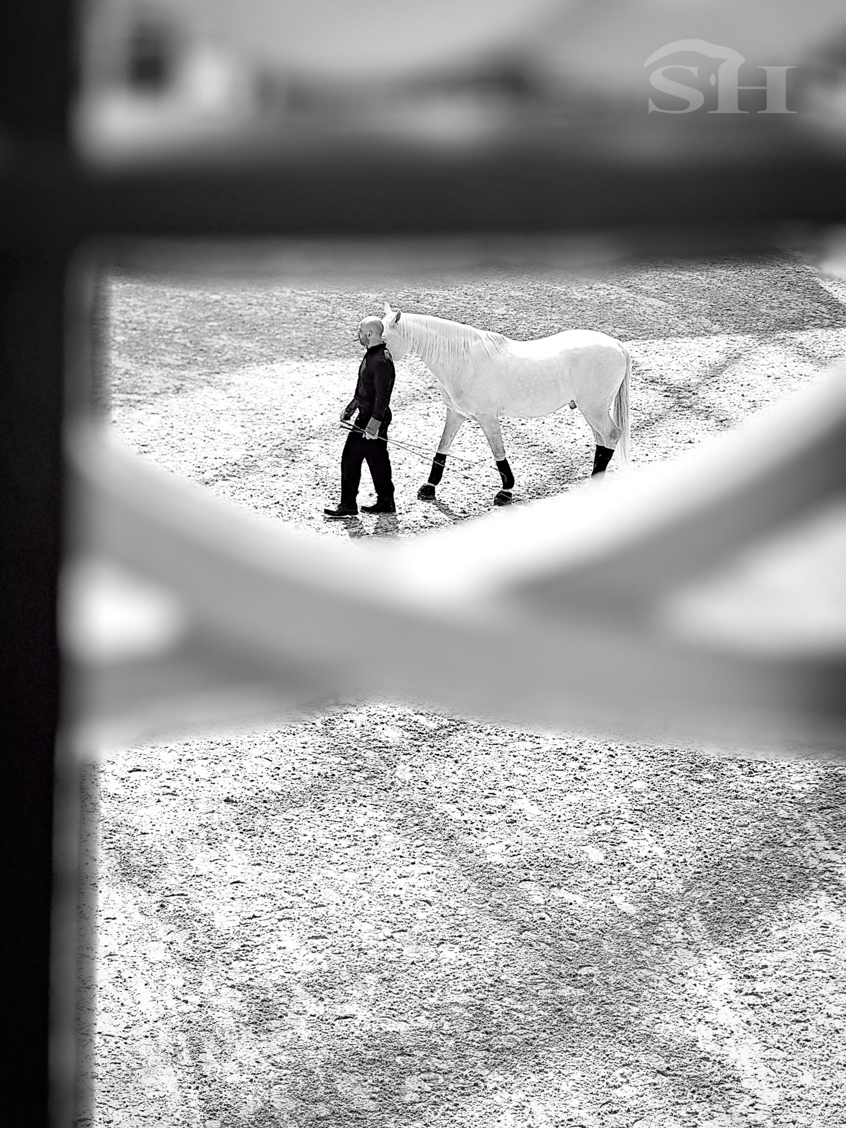 Saut Hermès Grand Palais
