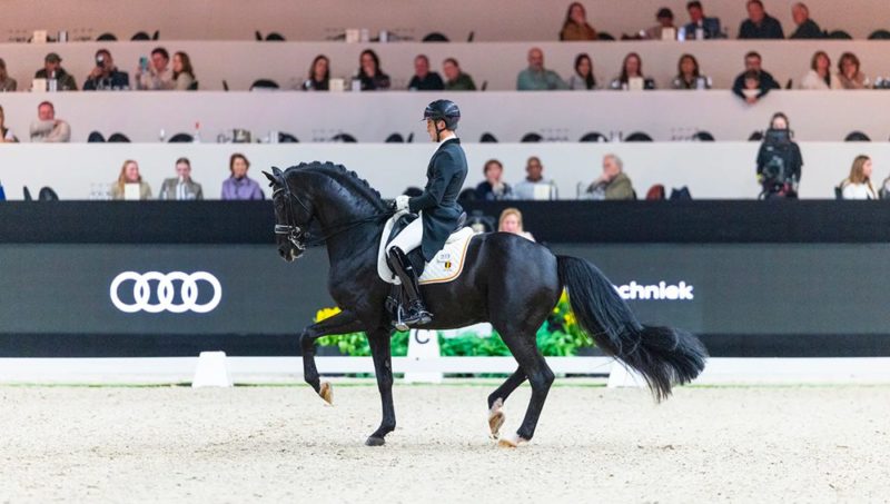 Dressage, frissons et étalons noirs : Verboomen fait parler la poudre à Bois-le-Duc