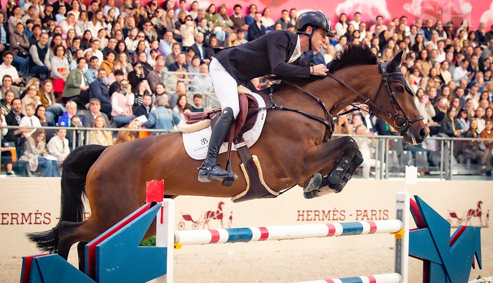 Scott Brash Hello Chadora Lady