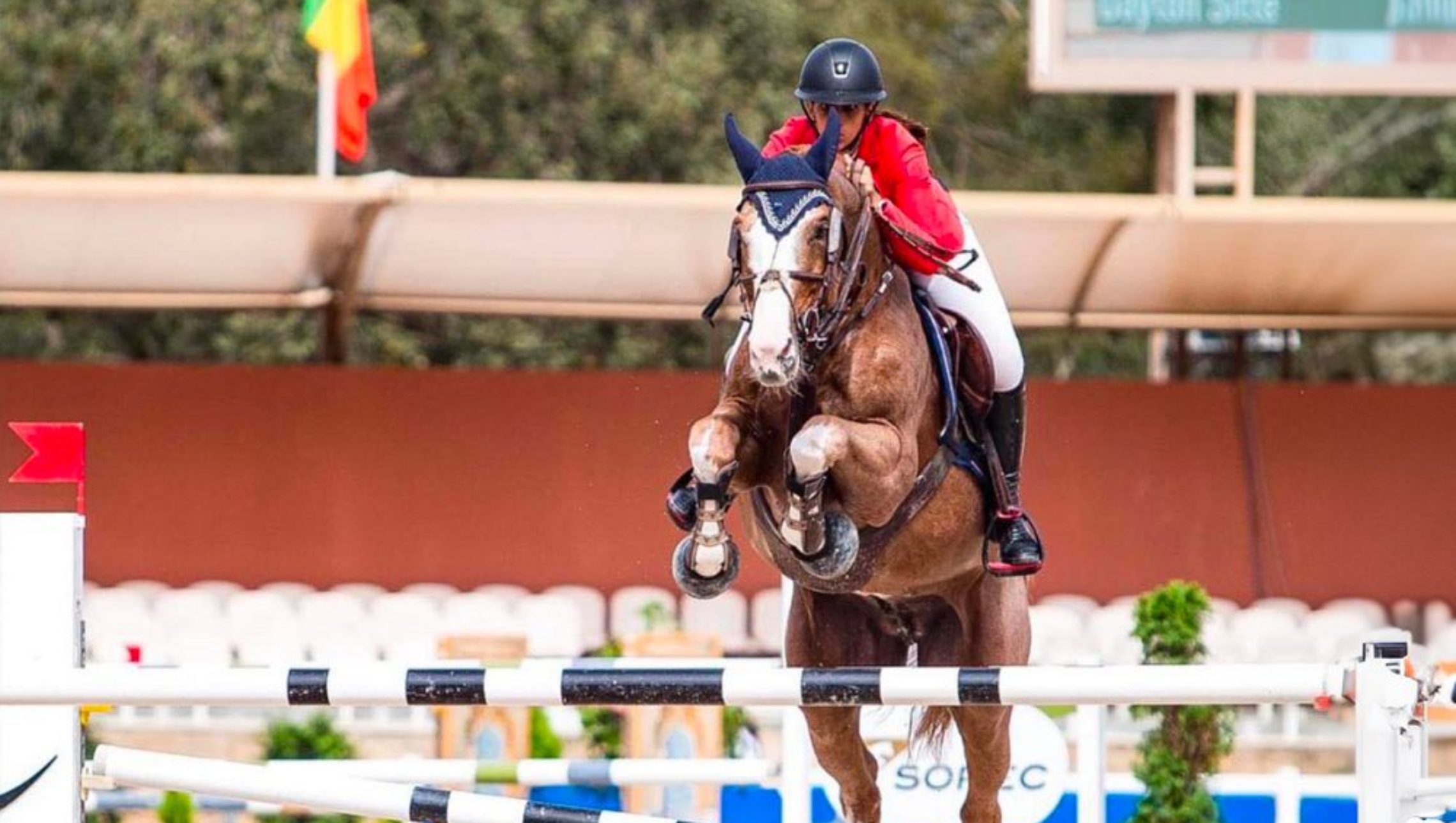 Dayton Sitte quitte le sport avec Virginie Thonon, et passe  à l’élevage