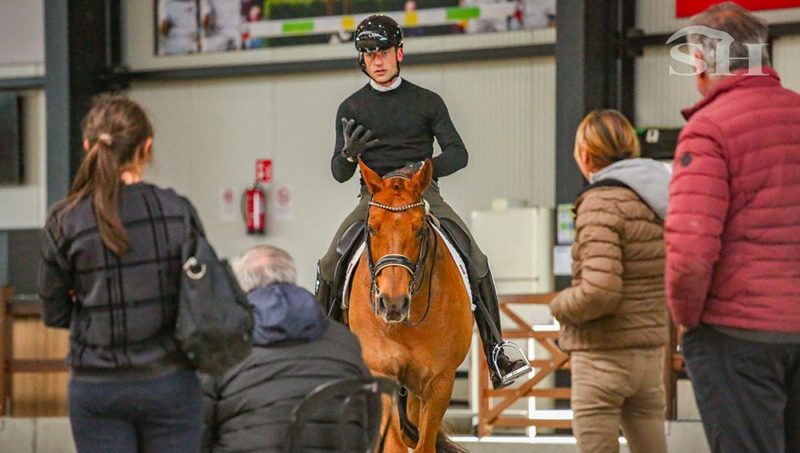 Dans les coulisses des entraînements du dressage belge