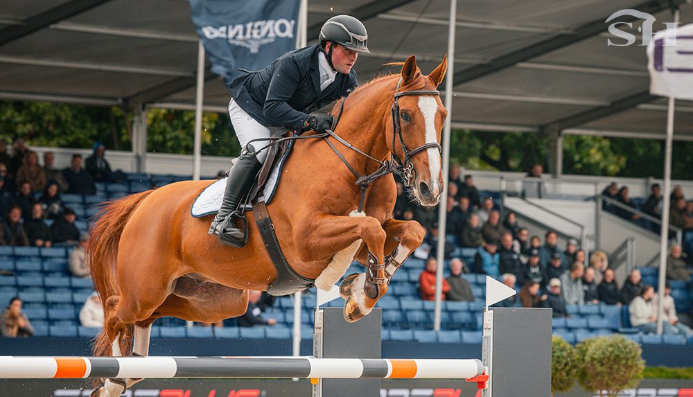 DEVINO VAN'T LANGEVELD Z - Ugo Berrittella