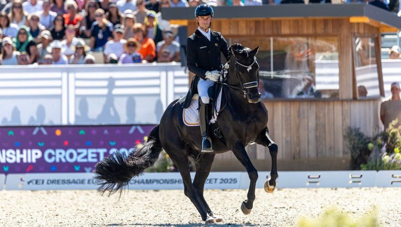 Quand les dresseurs connaissent la musique