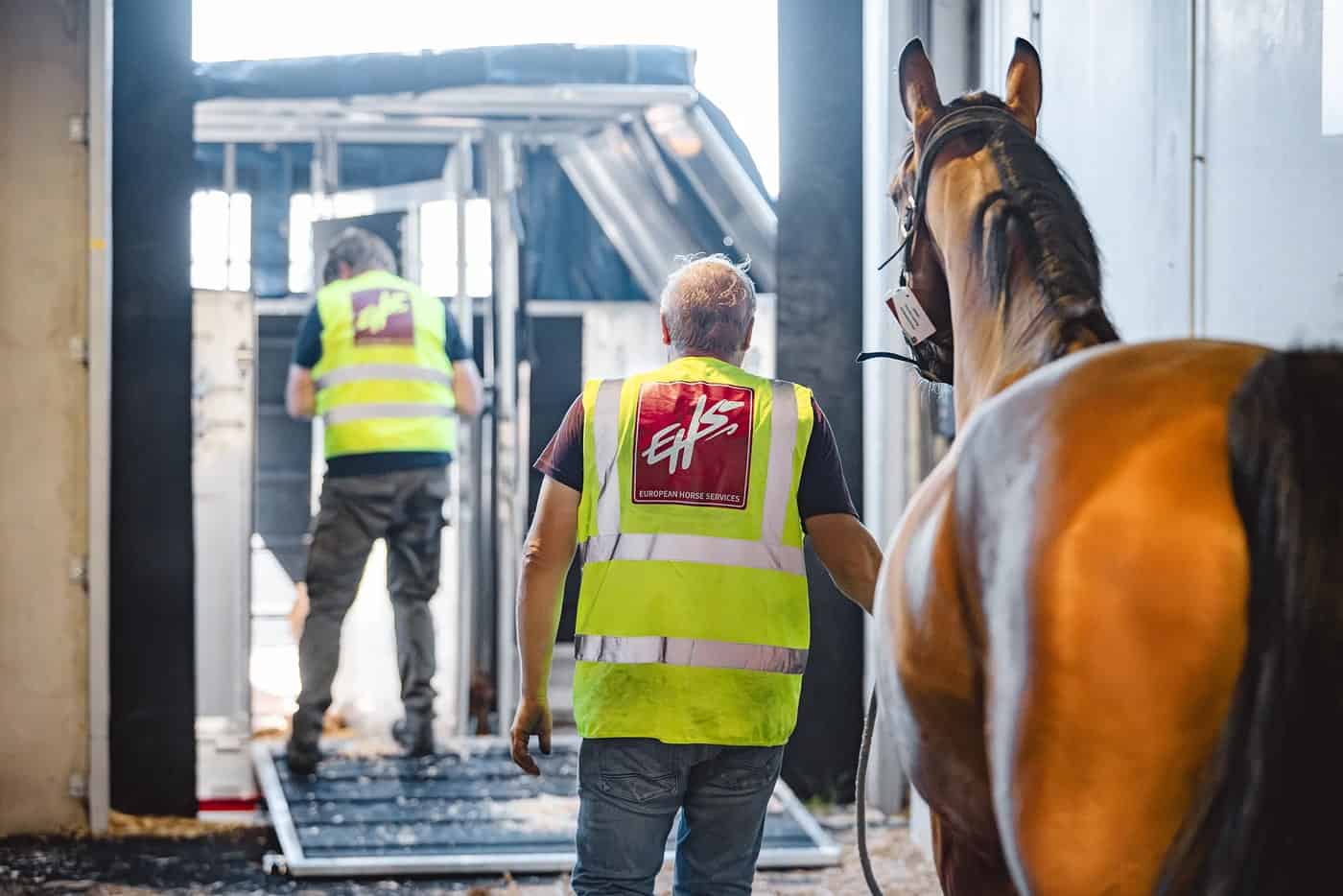 Transport chevaux EHS