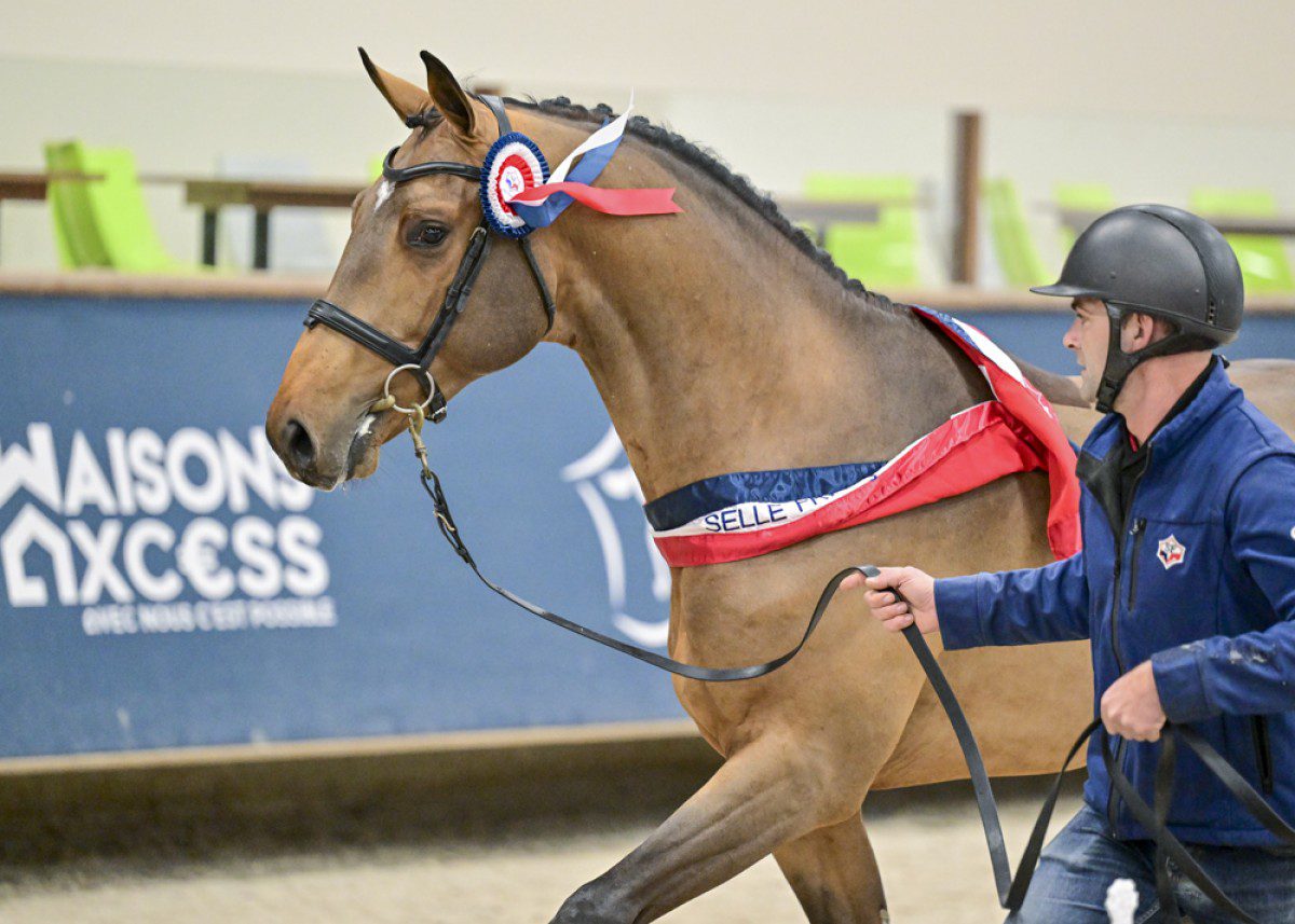 Lincoln France Etalon