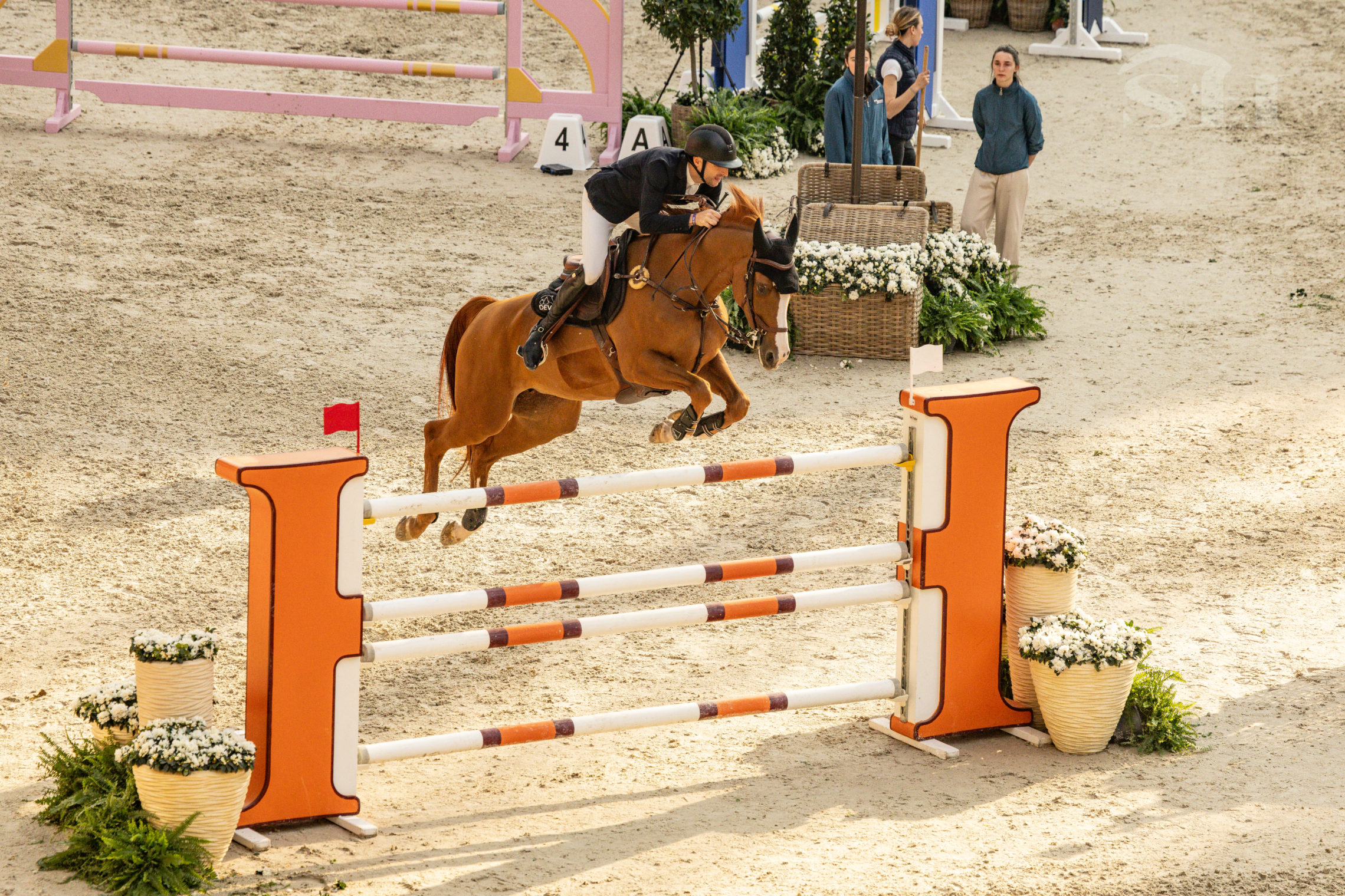 Pieter Devos Jarina J