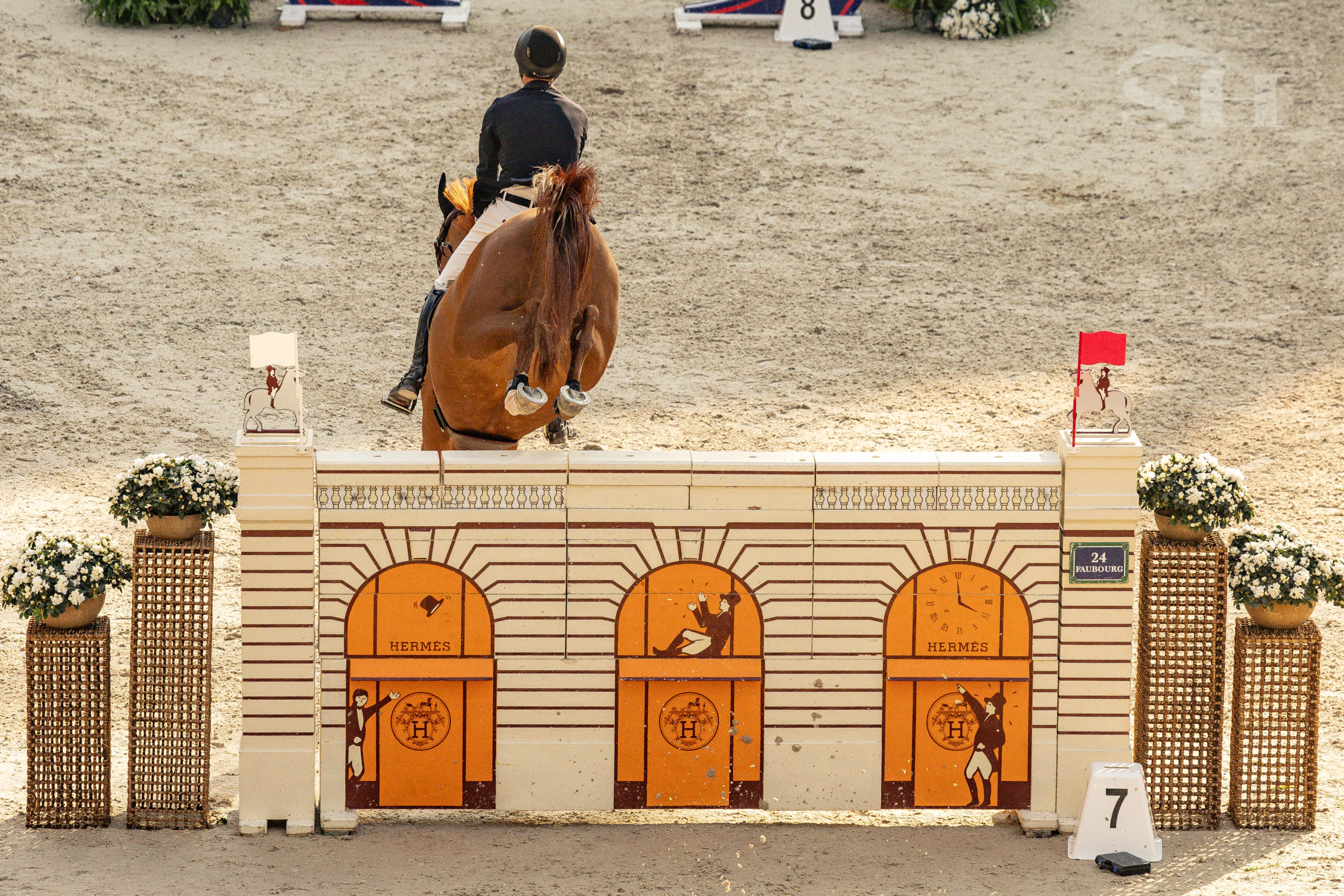 Pieter Devos Jarina J