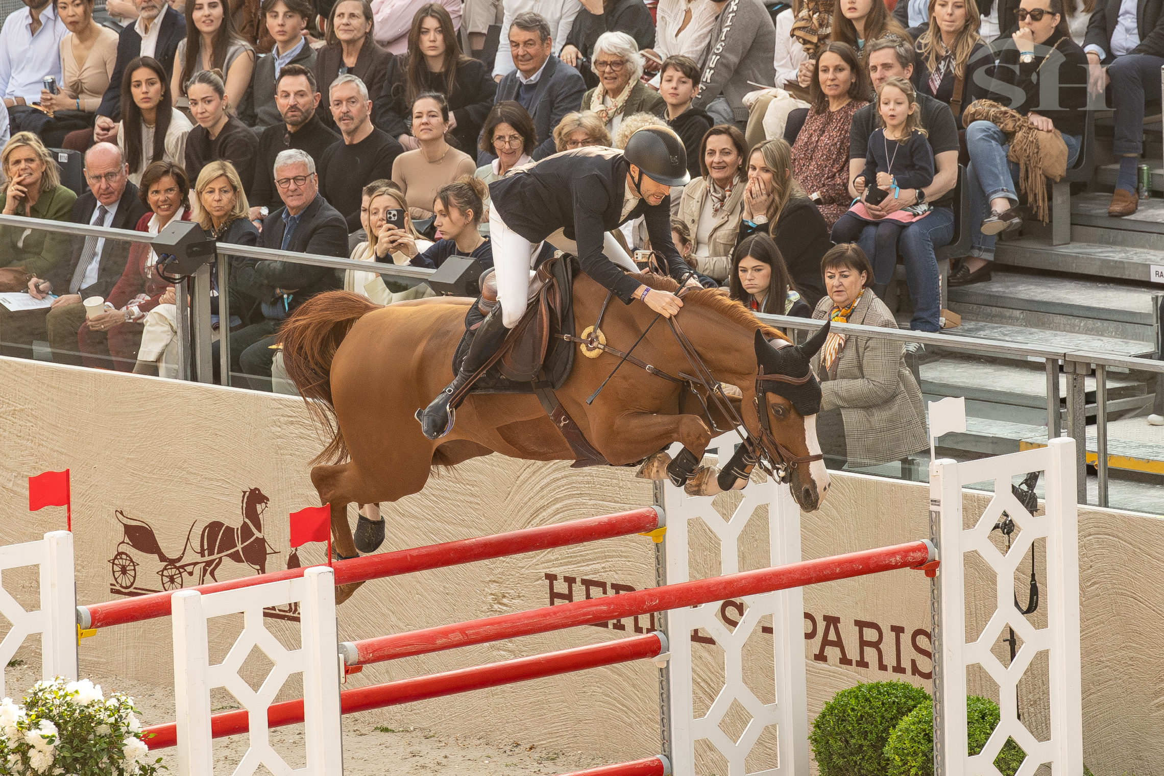 Pieter Devos Jarina J