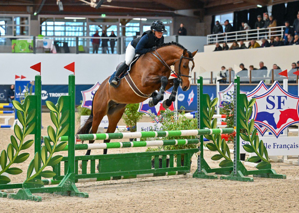 Loveur de Startup ©France Etalons