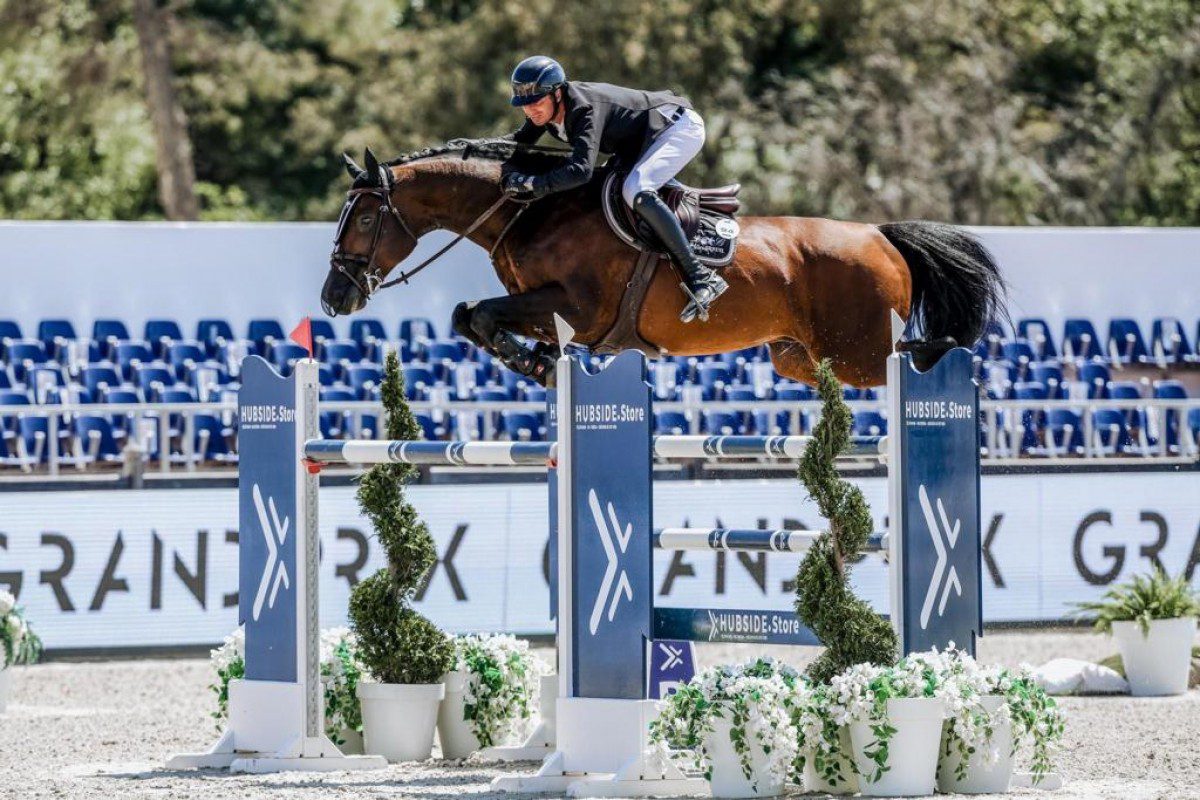 Bellini Dufaure de L ©France Etalons