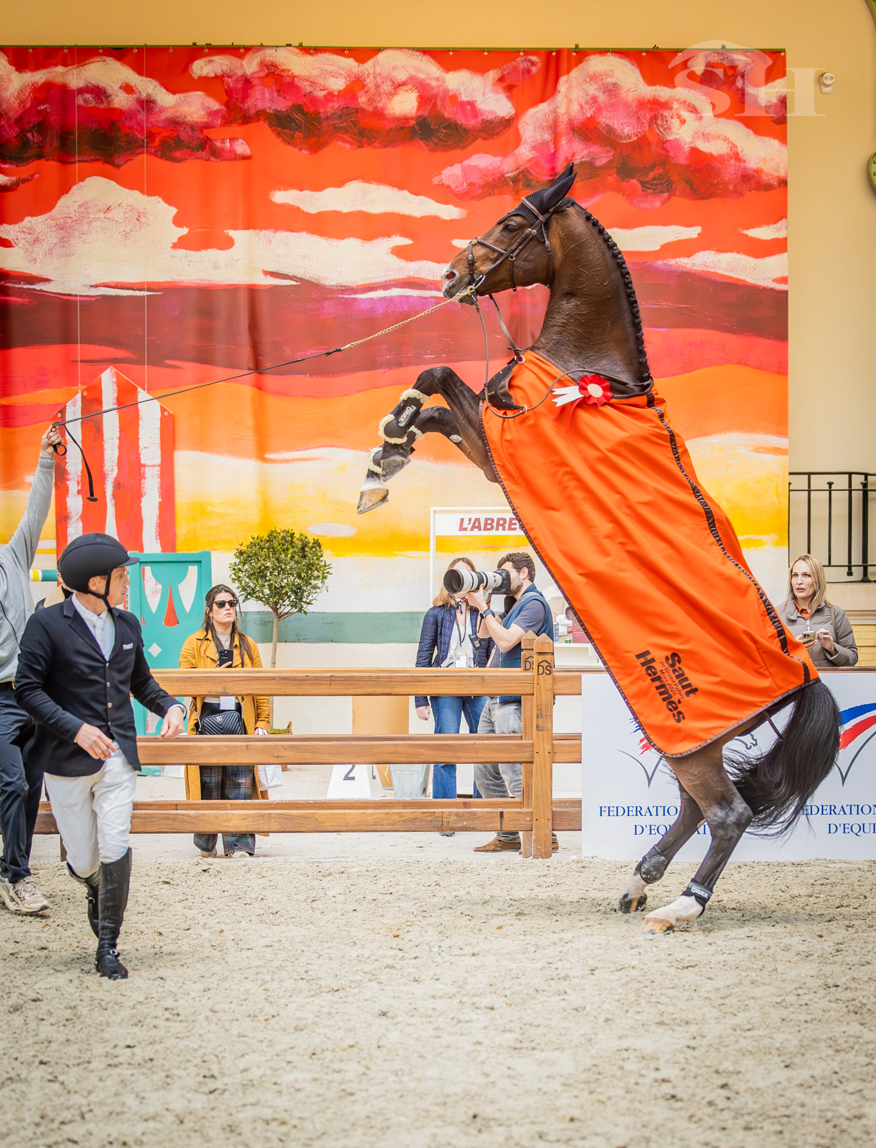 Grandorado TN Willem Greve