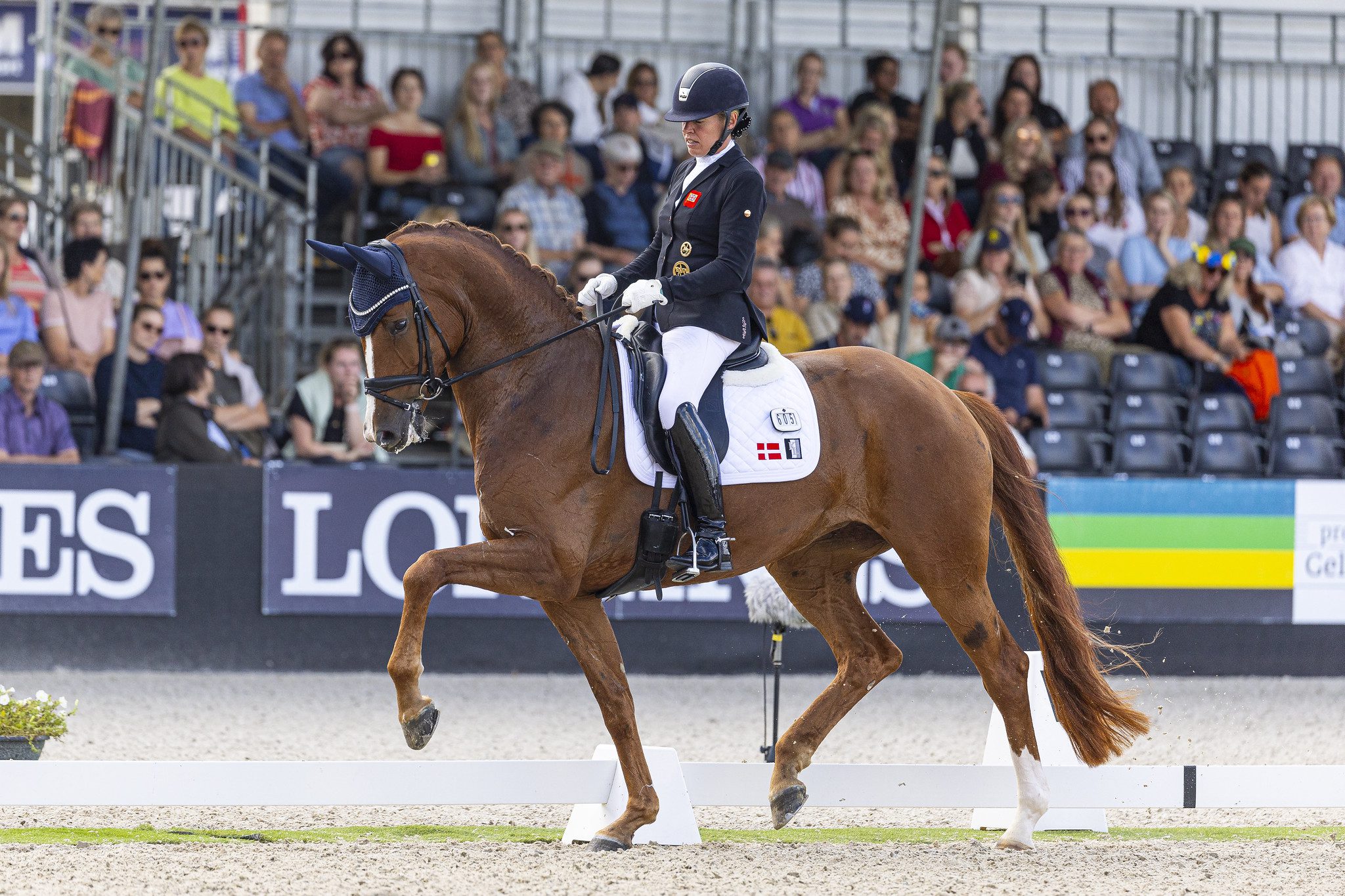 Fiona Bigwood & Quinn G © FEI/Leanjo de Koster