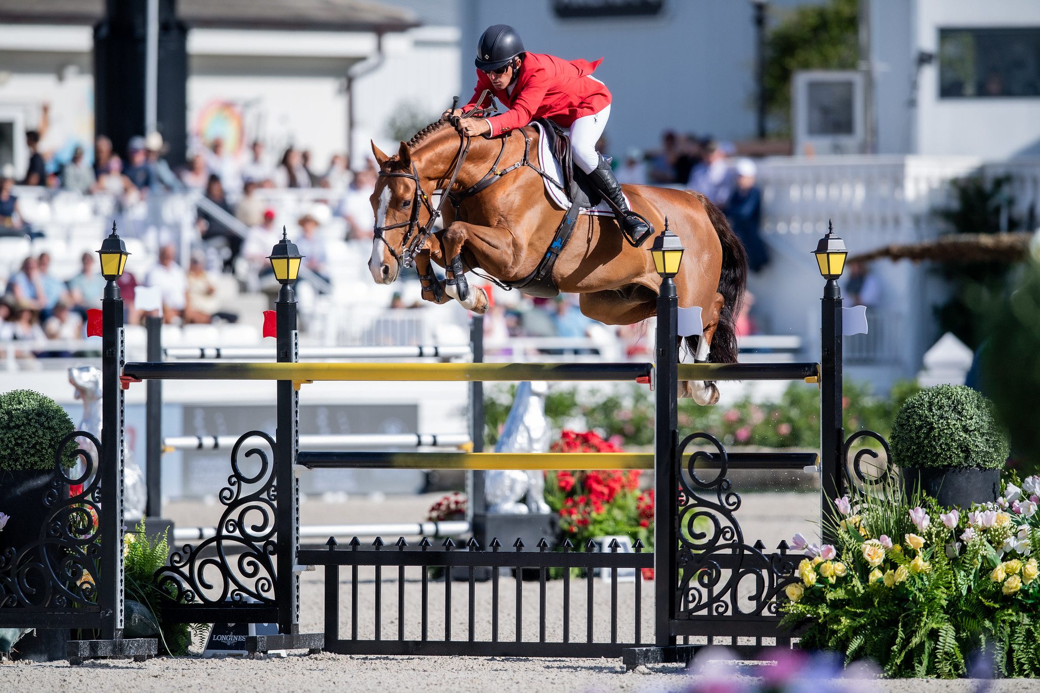 Aaron Vale & Carissimo 25