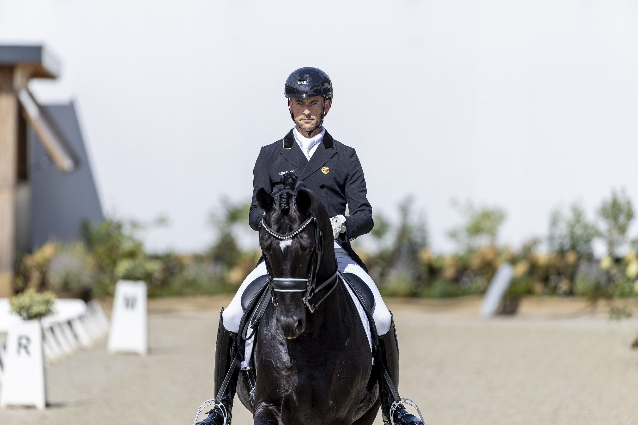 Justin Verboomen et Zonik Plus. © FEI/Leanjo de Koster