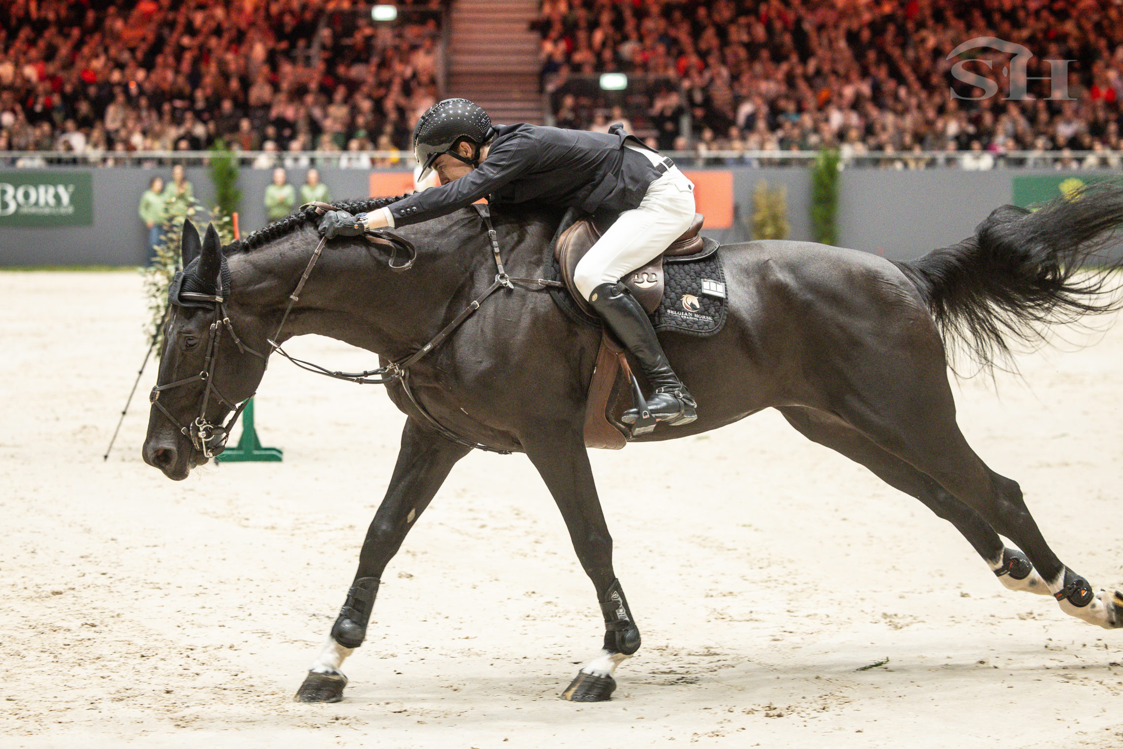 Thibeau Spits Impress K