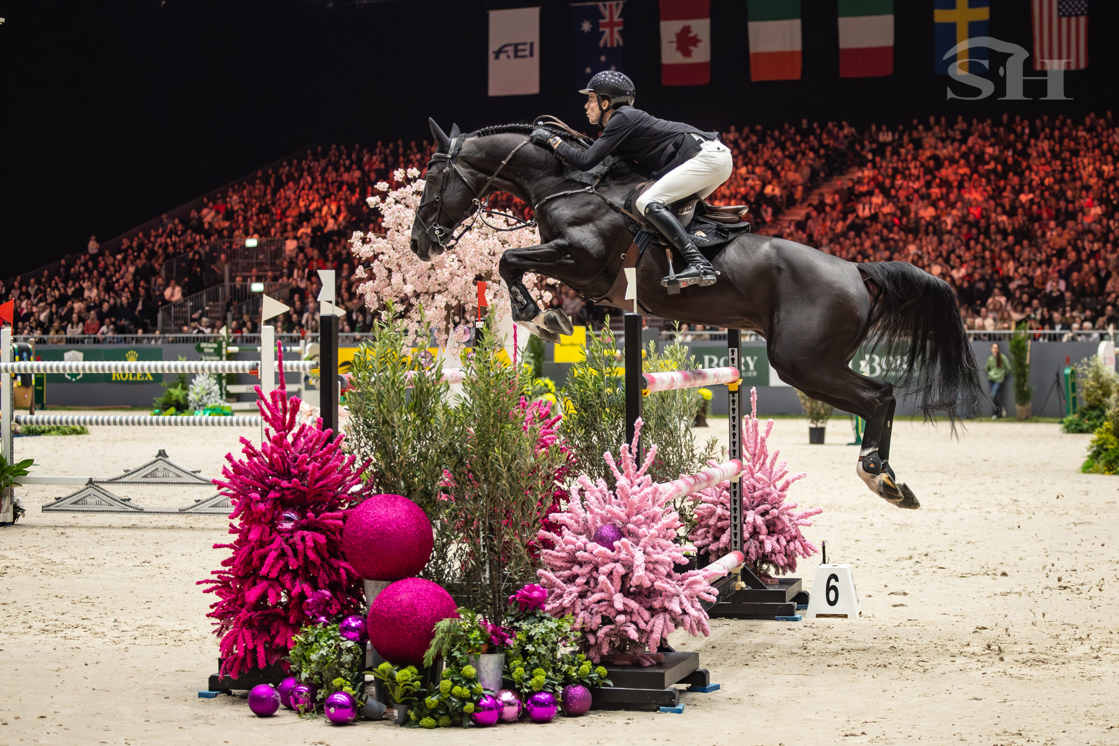 (Thibeau Spits & Impress K van't Kattenheye Z dans le GP de Genève.)