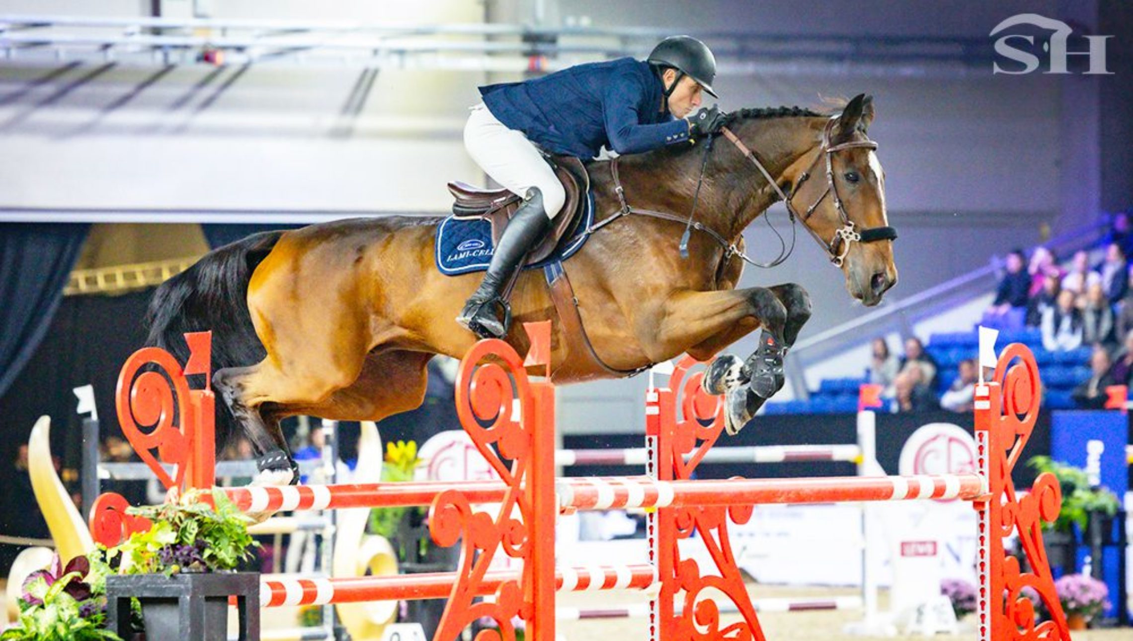 Wathelet prêt pour la finale : “prendre des risques ou rester à la maison”