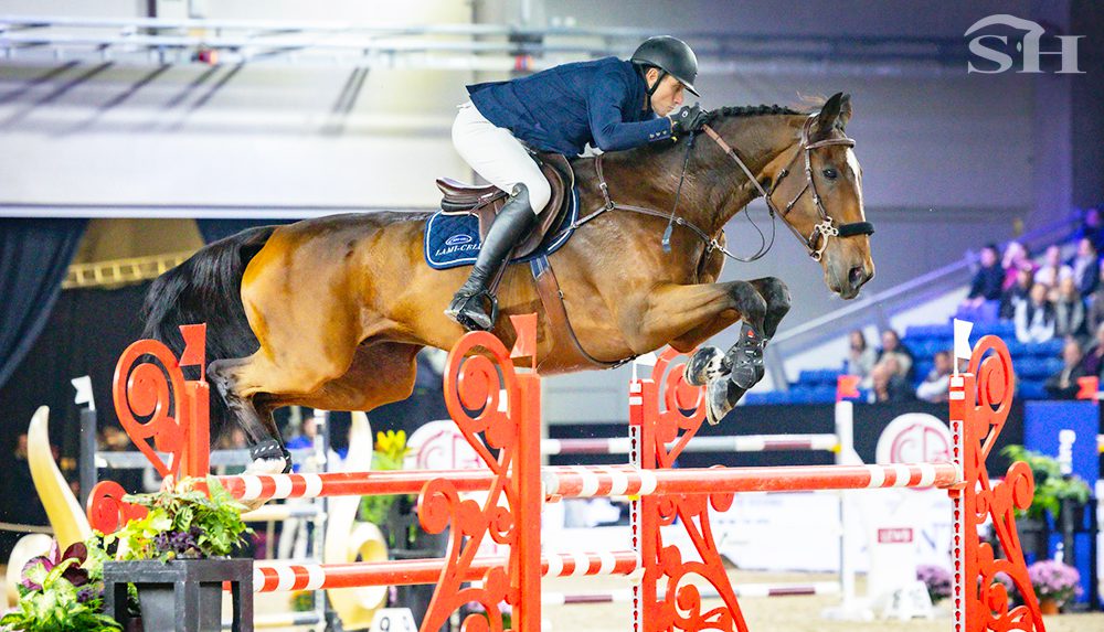 Double Jeu d'Honvault Grégory Wathelet