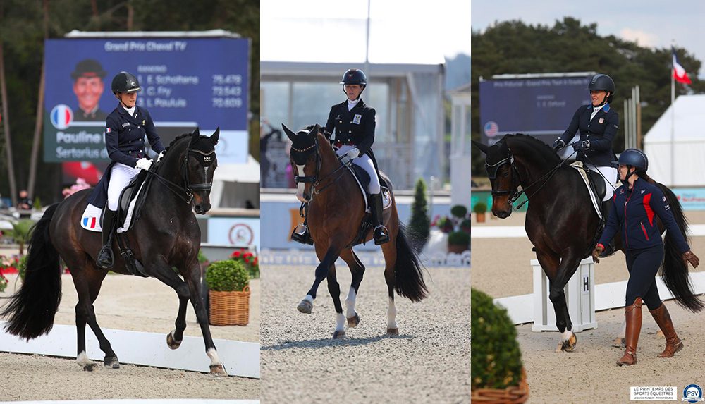 dressage fontainebleau