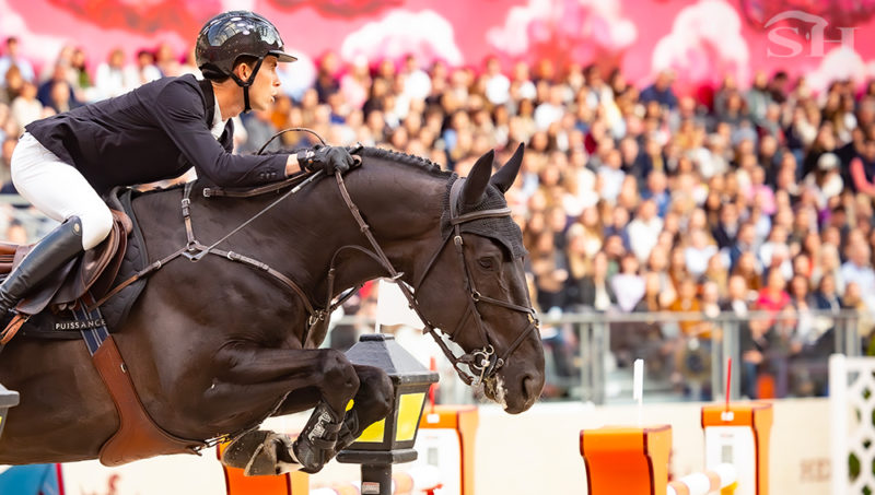 Impress, l’étalon qui n’aime pas qu’on lui casse les sabots