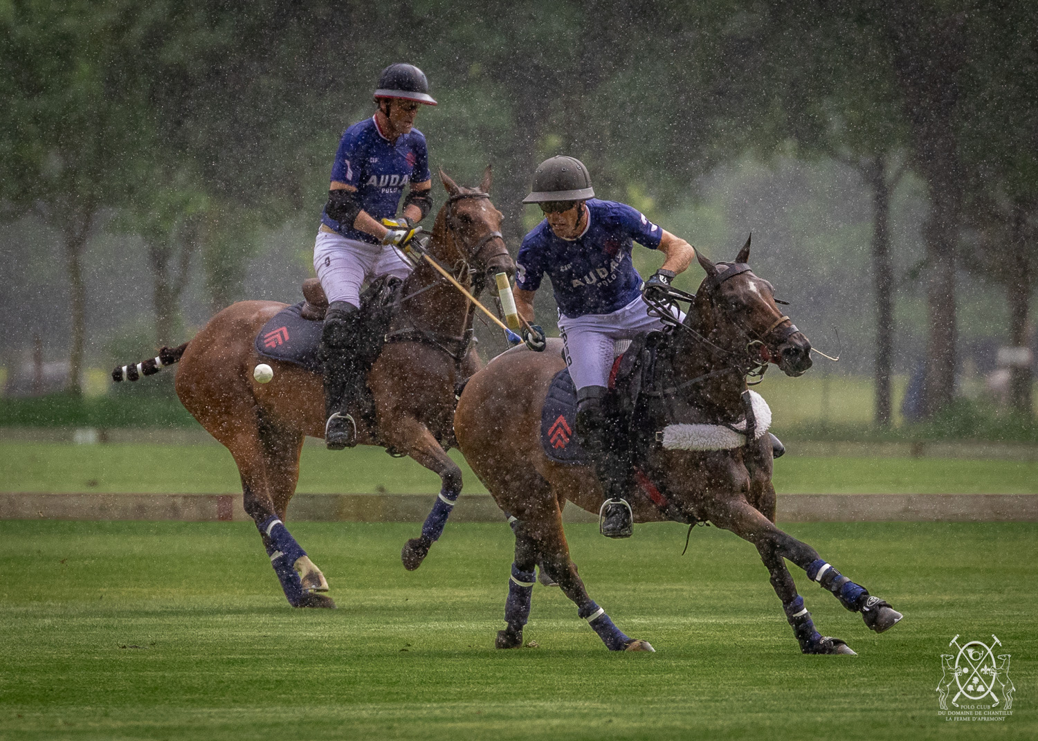 Polo Chantilly PGH
