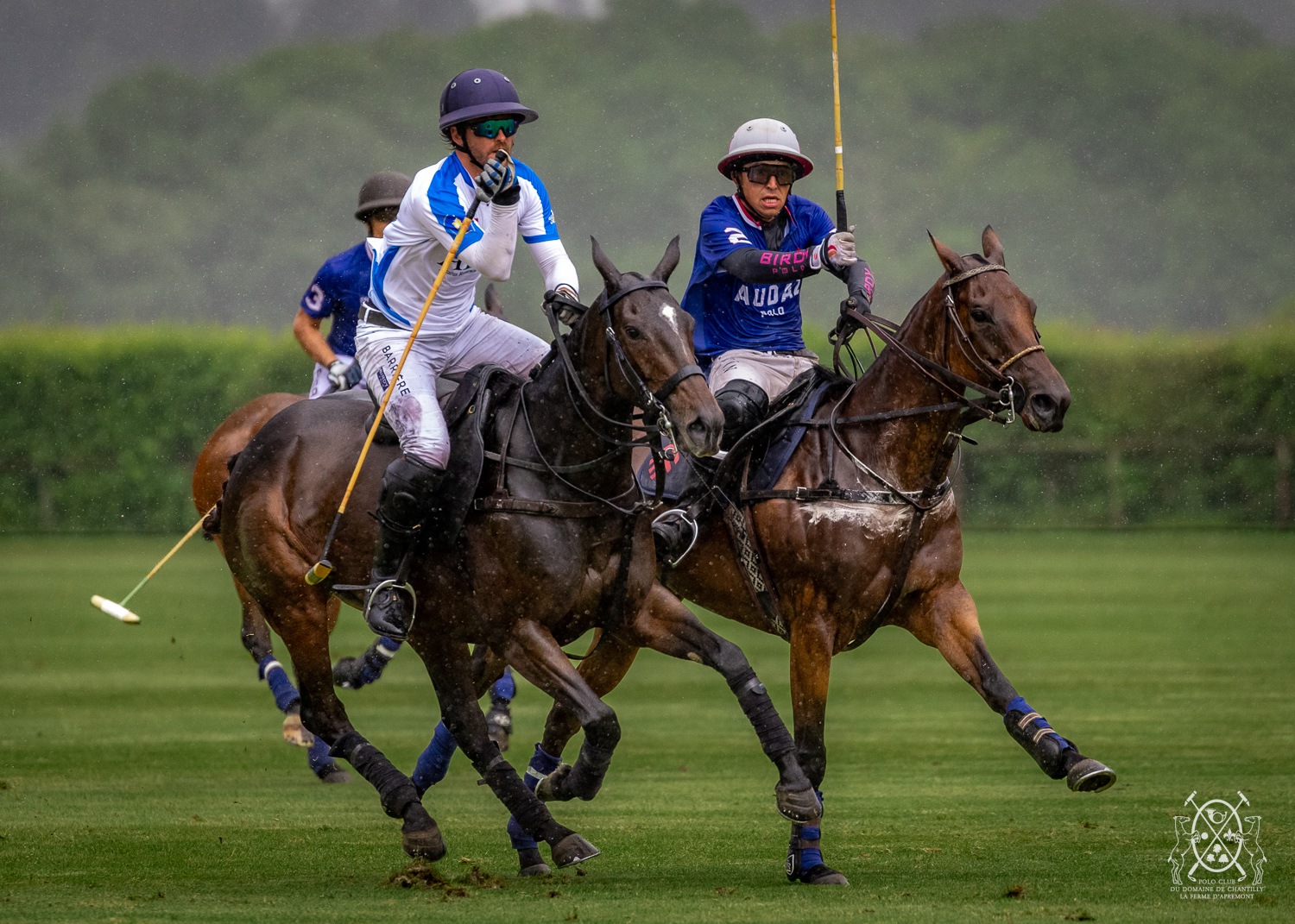Polo Chantilly PGH