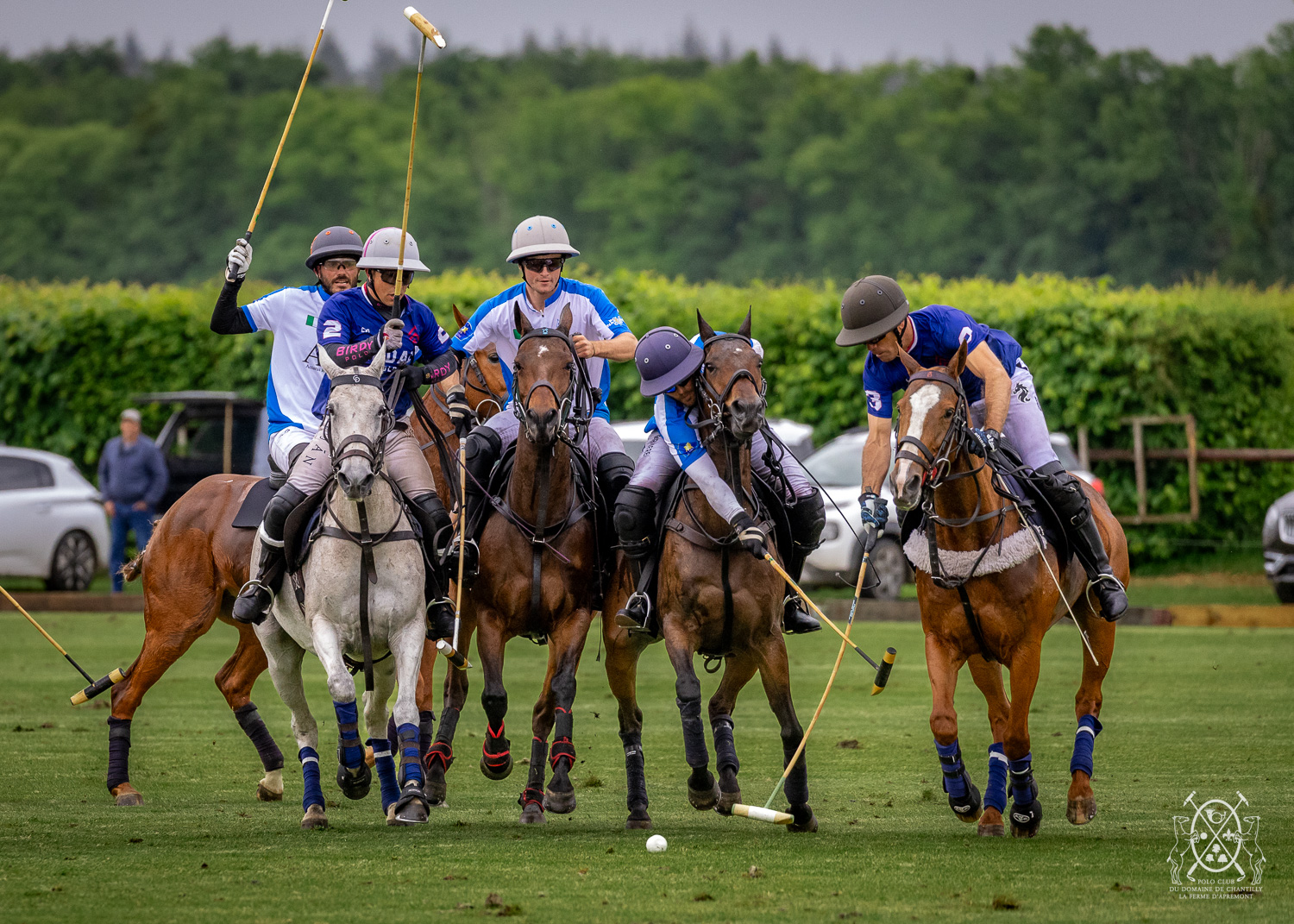 Polo Chantilly PGH