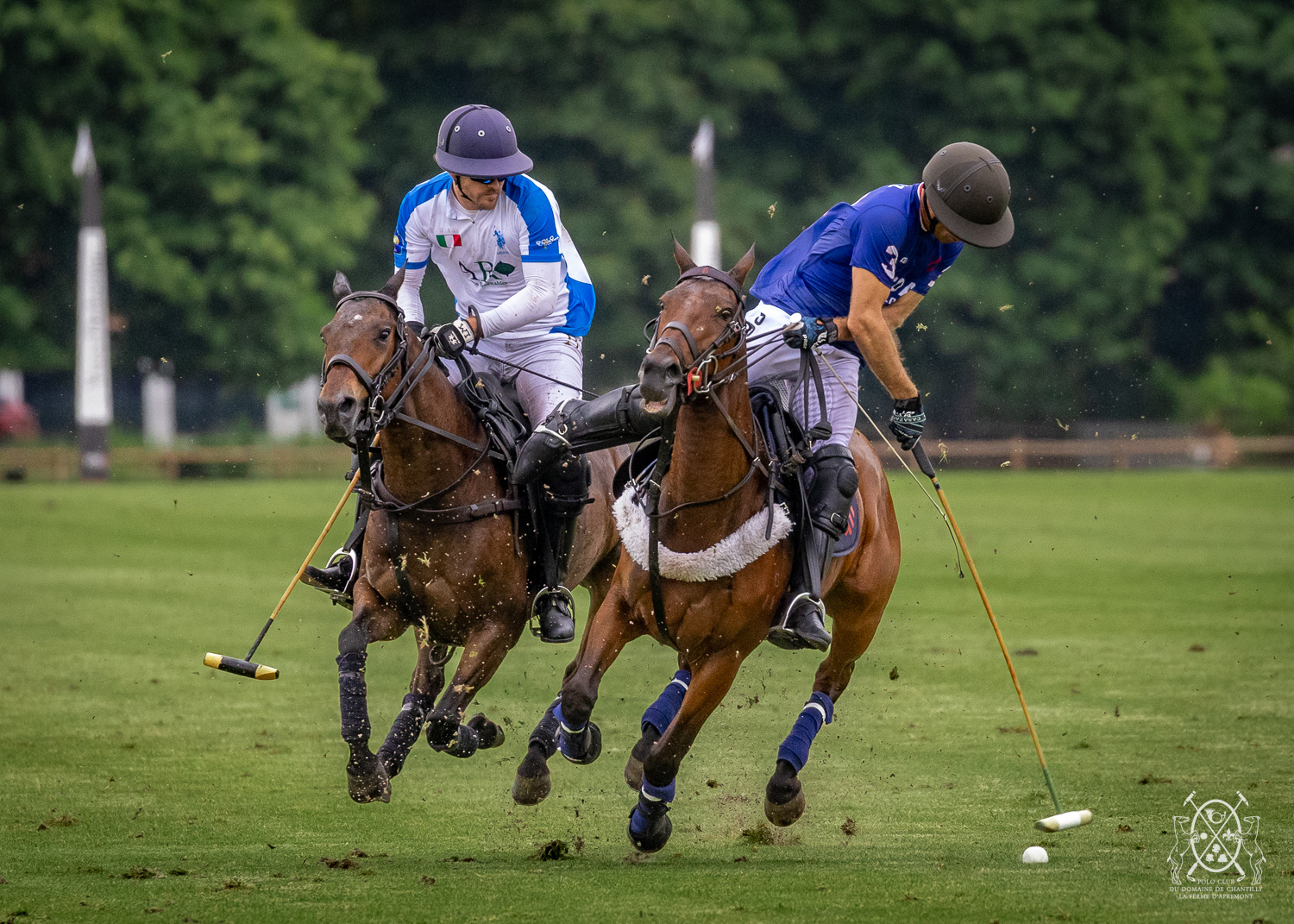 Polo Chantilly PGH