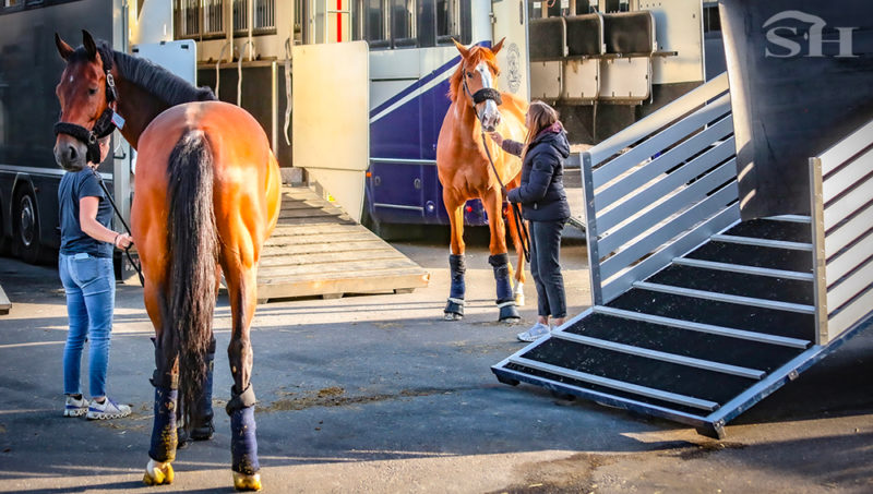 Benelux : le cheval vient de se prendre une barrière administrative