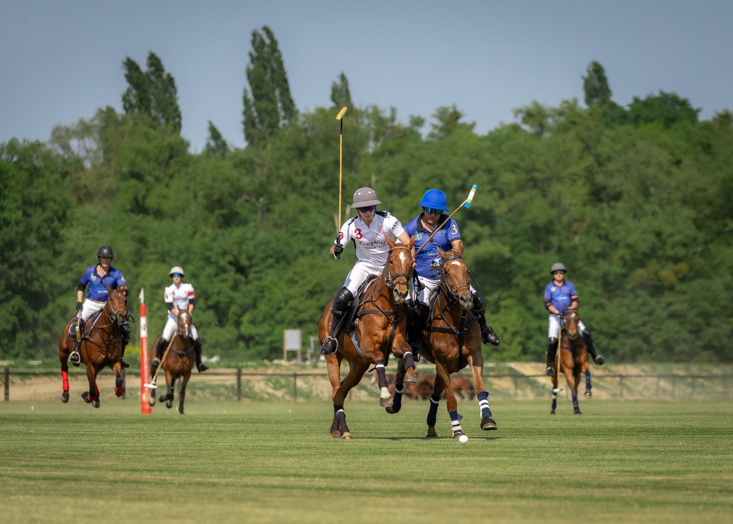 Polo Chantilly